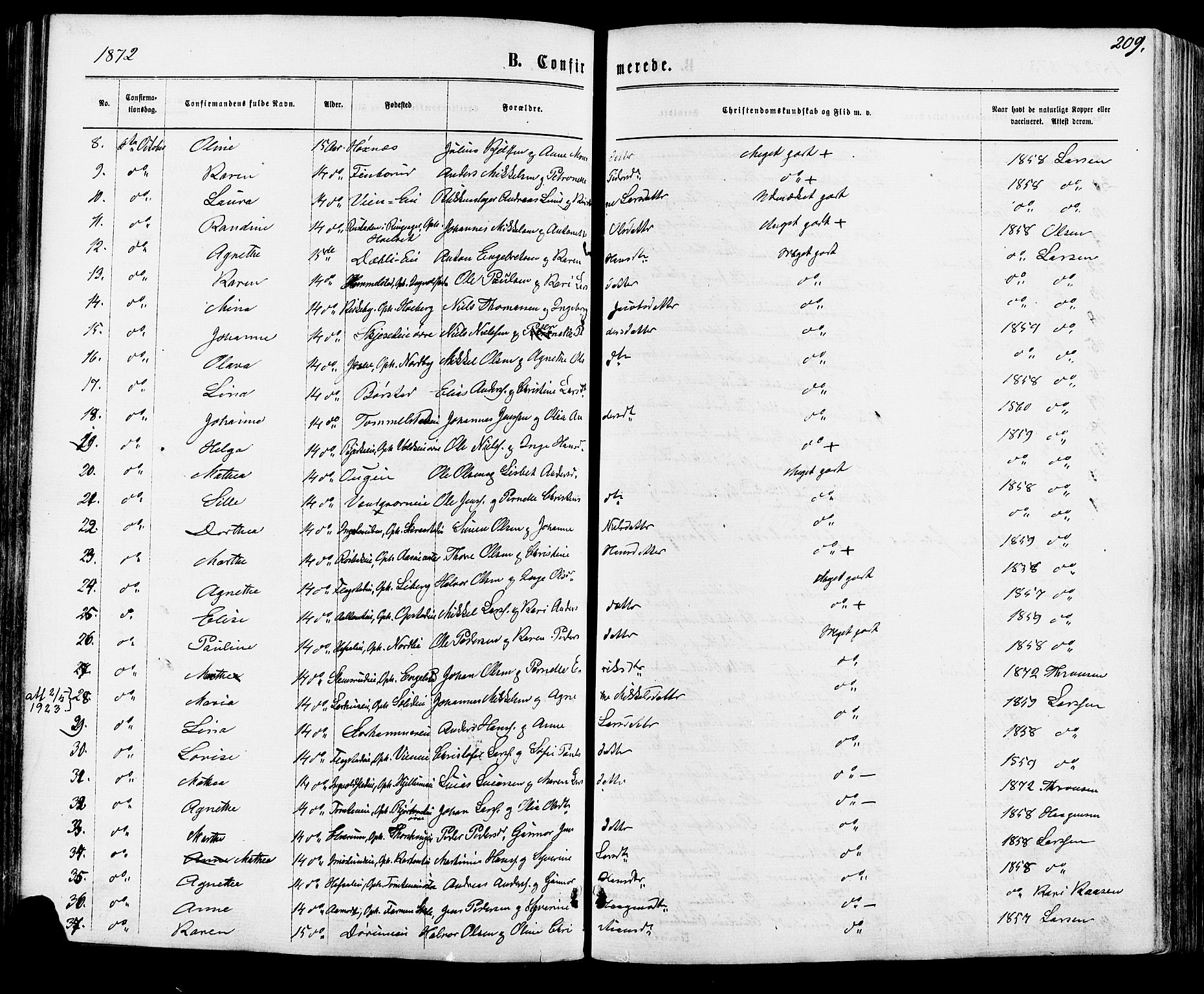 Vang prestekontor, Hedmark, AV/SAH-PREST-008/H/Ha/Haa/L0015: Parish register (official) no. 15, 1871-1885, p. 209