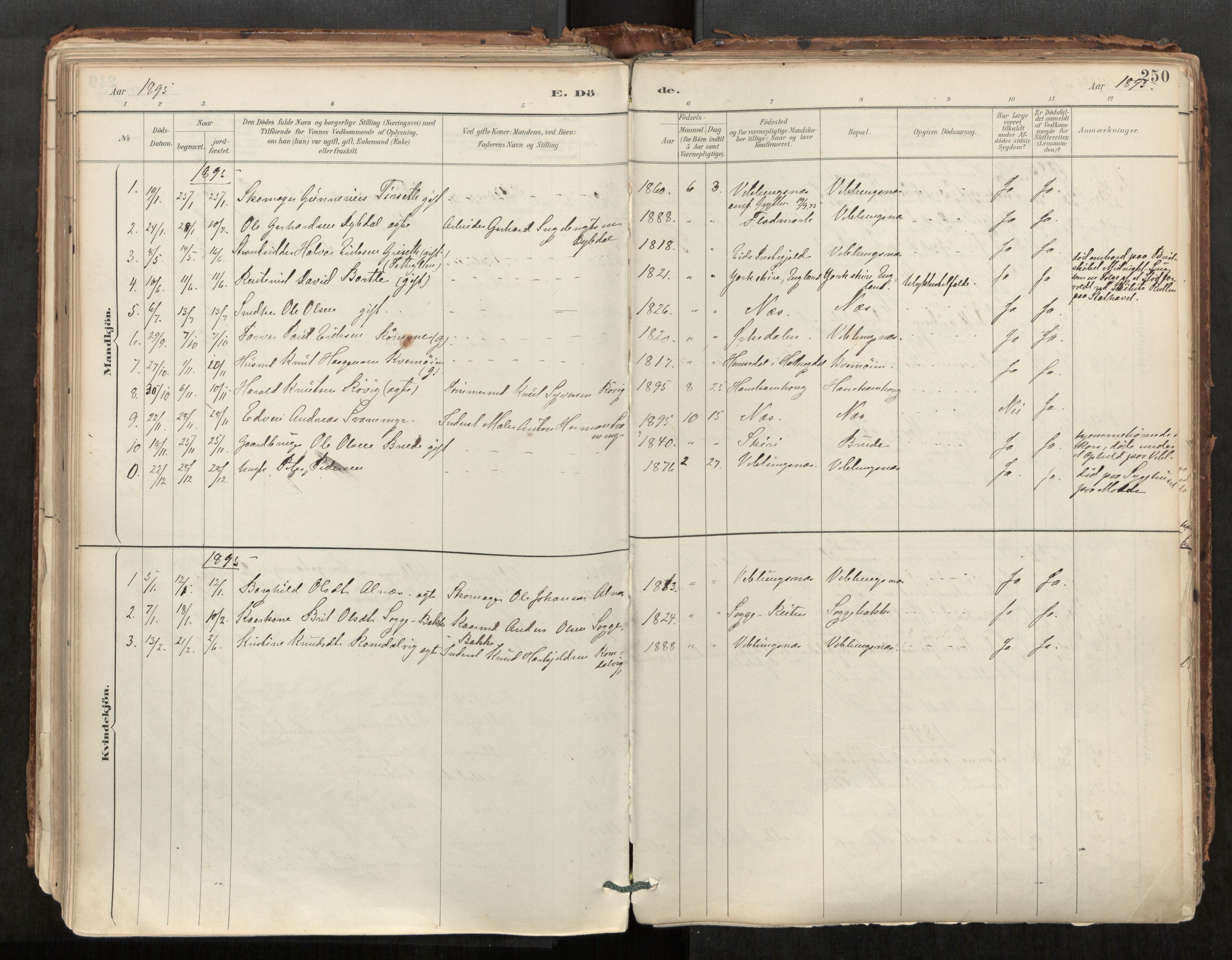 Ministerialprotokoller, klokkerbøker og fødselsregistre - Møre og Romsdal, AV/SAT-A-1454/544/L0585: Parish register (official) no. 544A06, 1887-1924, p. 250