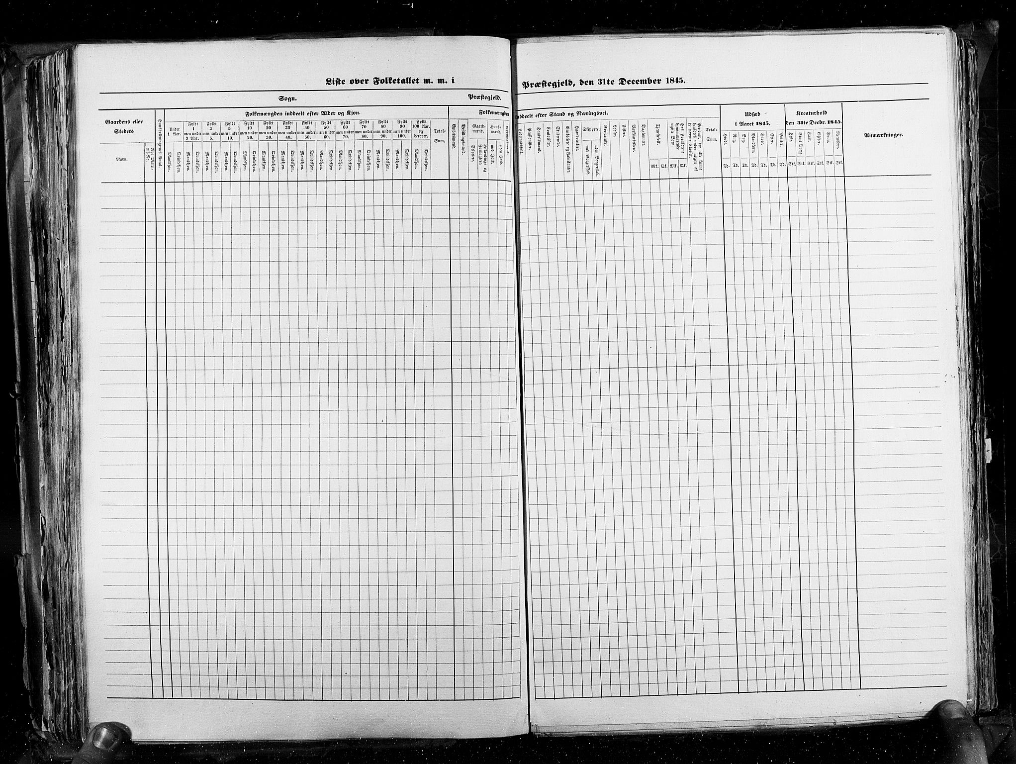 RA, Census 1845, vol. 3: Hedemarken amt og Kristians amt, 1845, p. 220