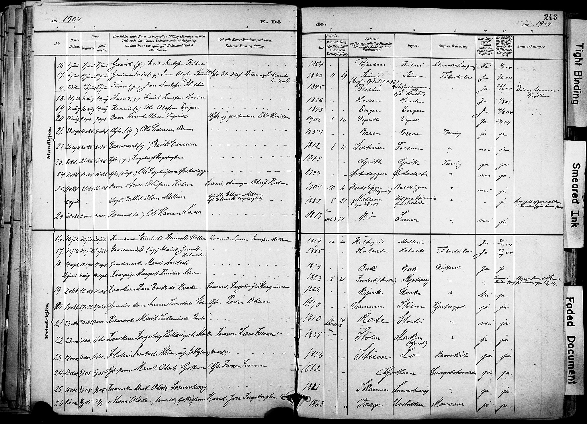 Ministerialprotokoller, klokkerbøker og fødselsregistre - Sør-Trøndelag, AV/SAT-A-1456/678/L0902: Parish register (official) no. 678A11, 1895-1911, p. 243