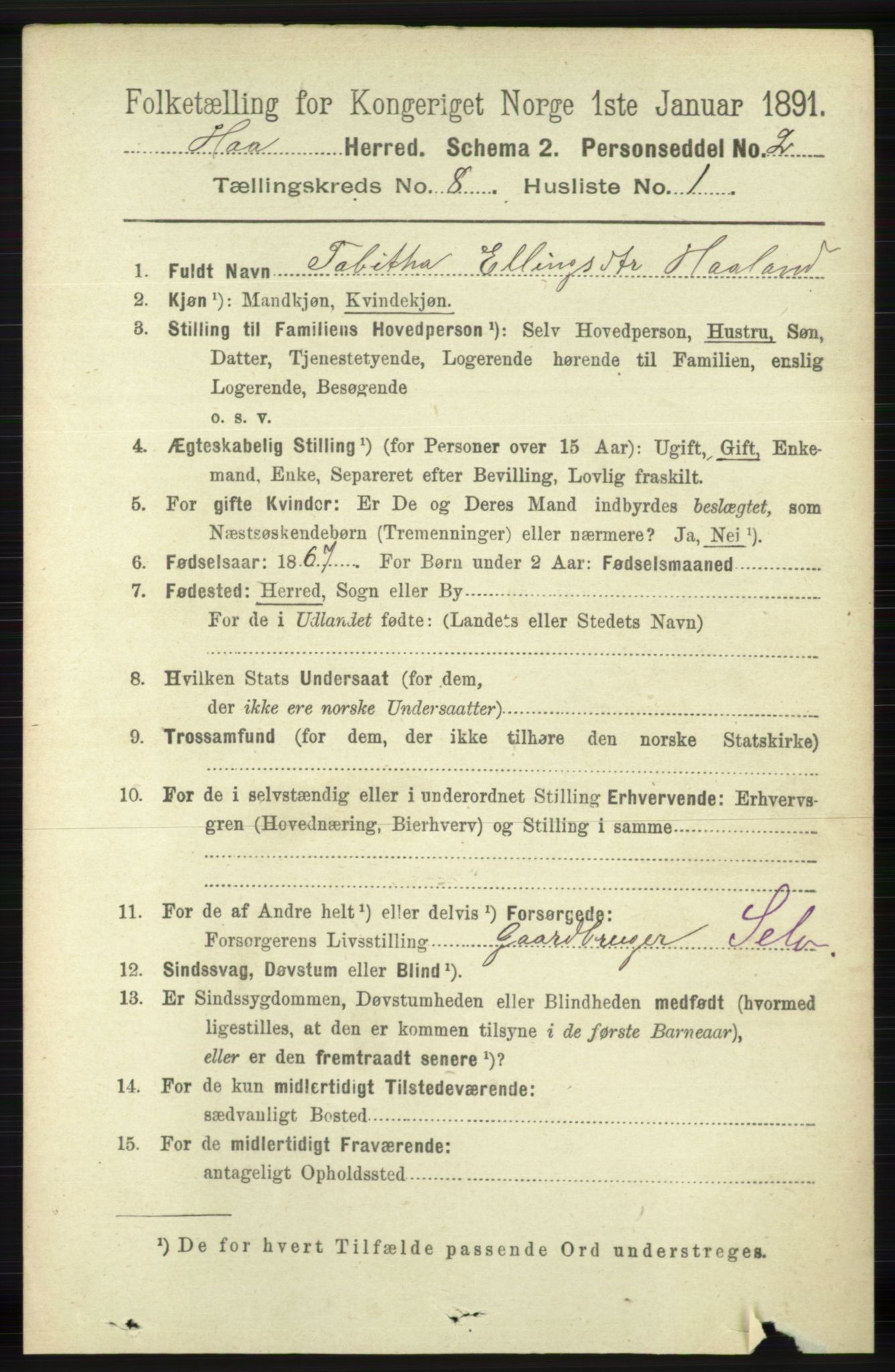 RA, 1891 census for 1119 Hå, 1891, p. 2051