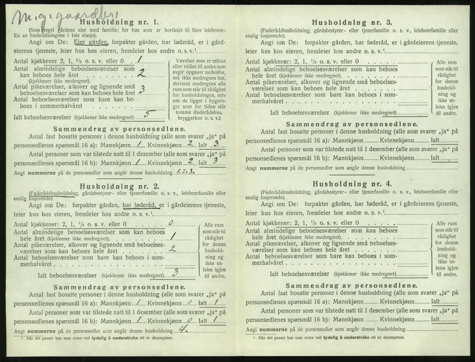 SAT, 1920 census for Vestnes, 1920, p. 1016