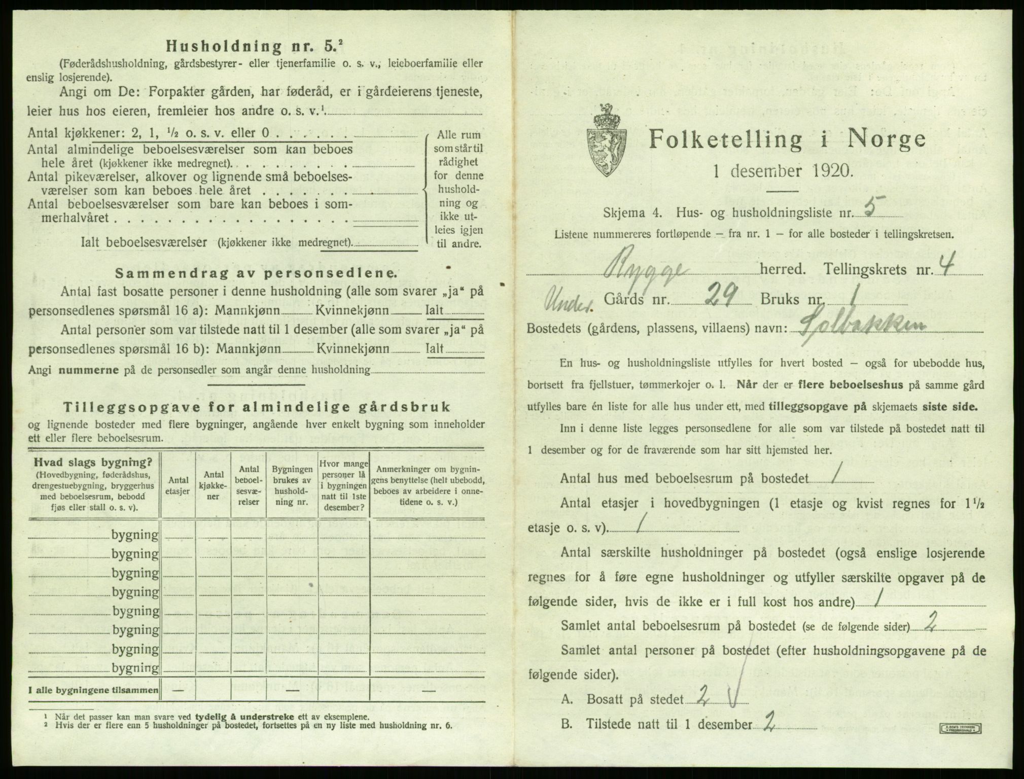 SAO, 1920 census for Rygge, 1920, p. 11115