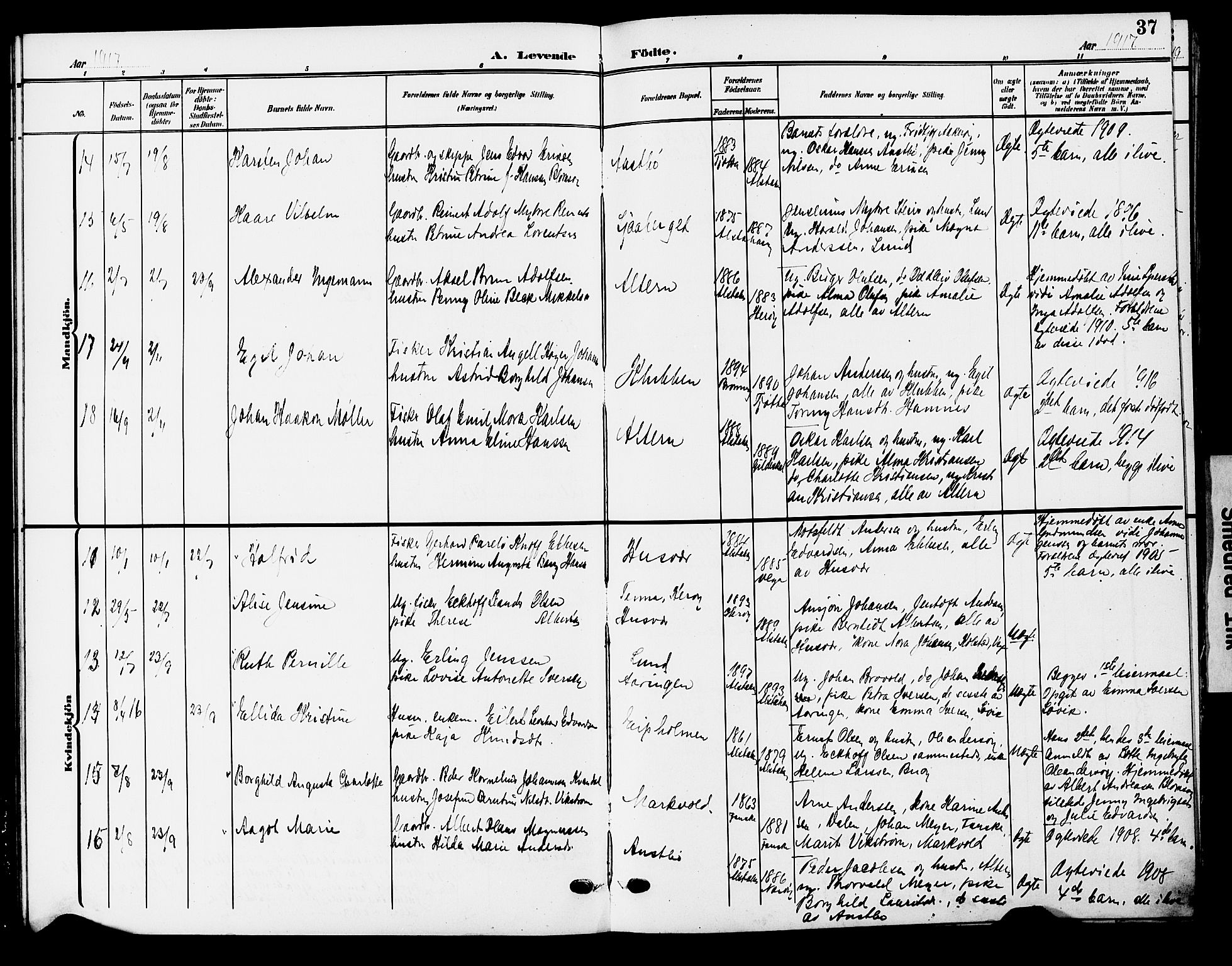 Ministerialprotokoller, klokkerbøker og fødselsregistre - Nordland, AV/SAT-A-1459/830/L0464: Parish register (copy) no. 830C06, 1906-1925, p. 37