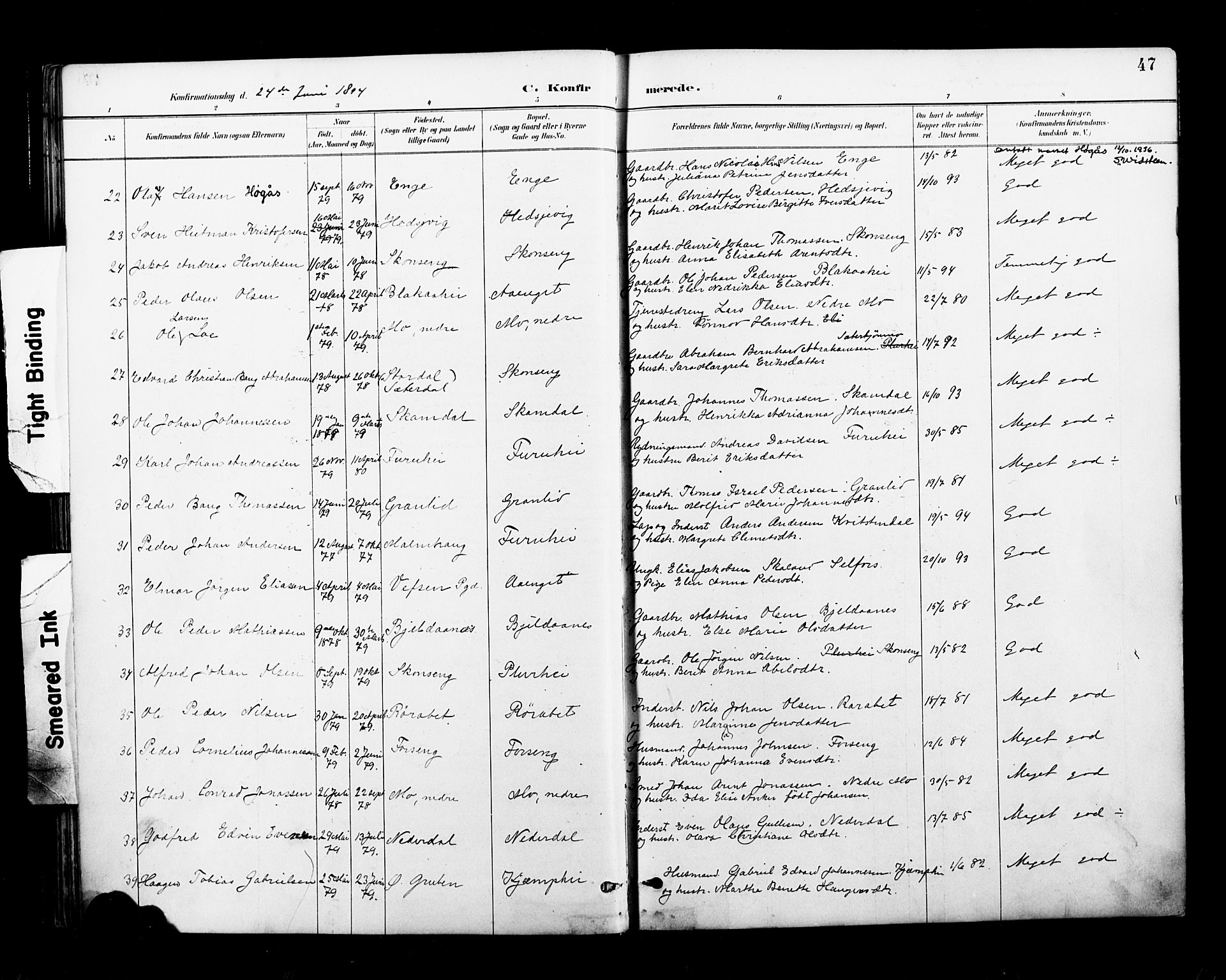 Ministerialprotokoller, klokkerbøker og fødselsregistre - Nordland, AV/SAT-A-1459/827/L0401: Parish register (official) no. 827A13, 1887-1905, p. 47