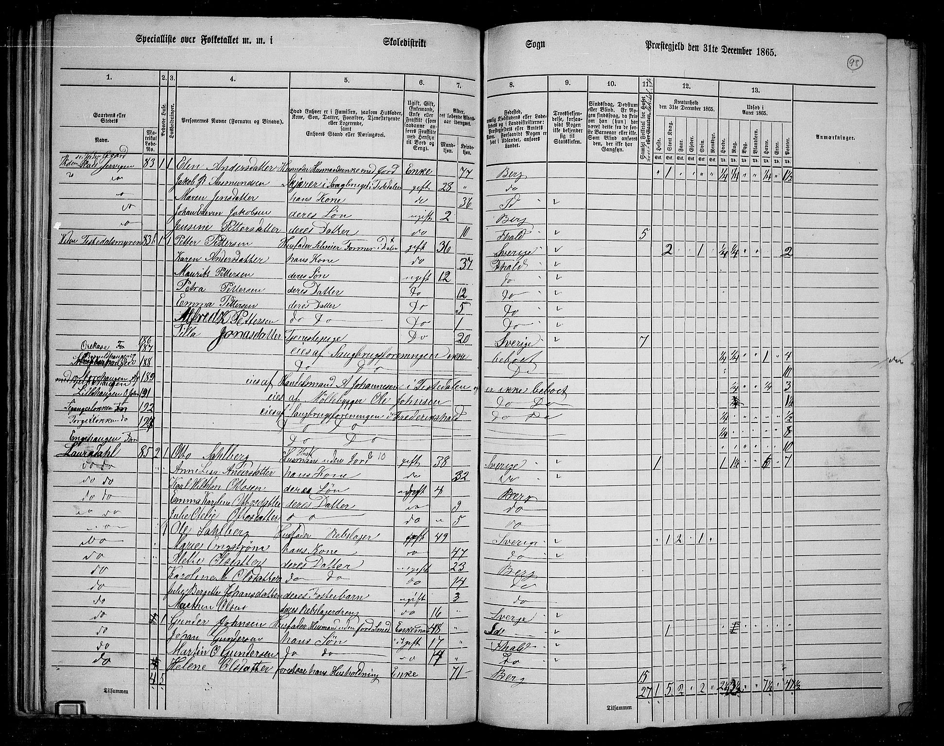 RA, 1865 census for Berg, 1865, p. 87