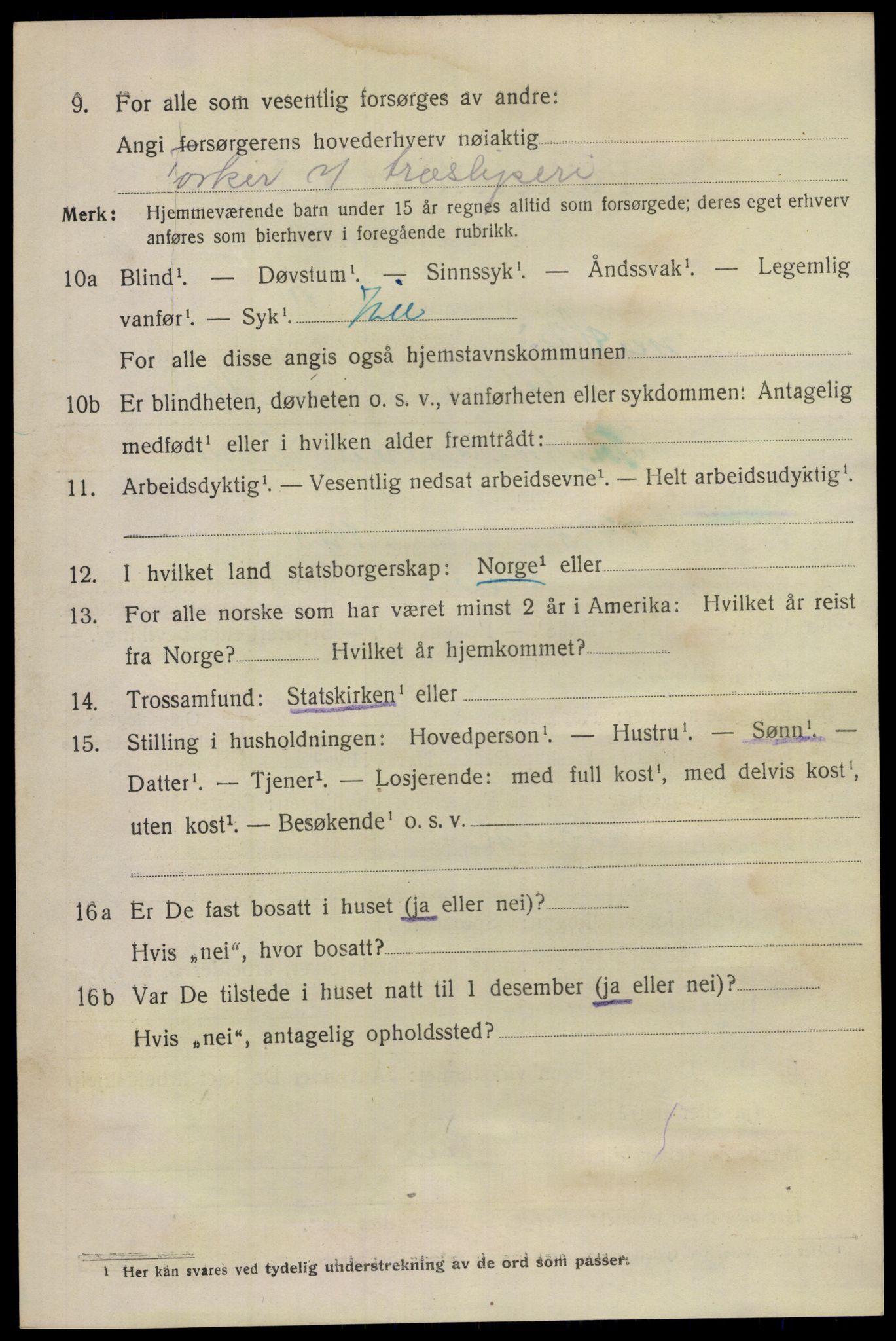 SAKO, 1920 census for Skien, 1920, p. 33135