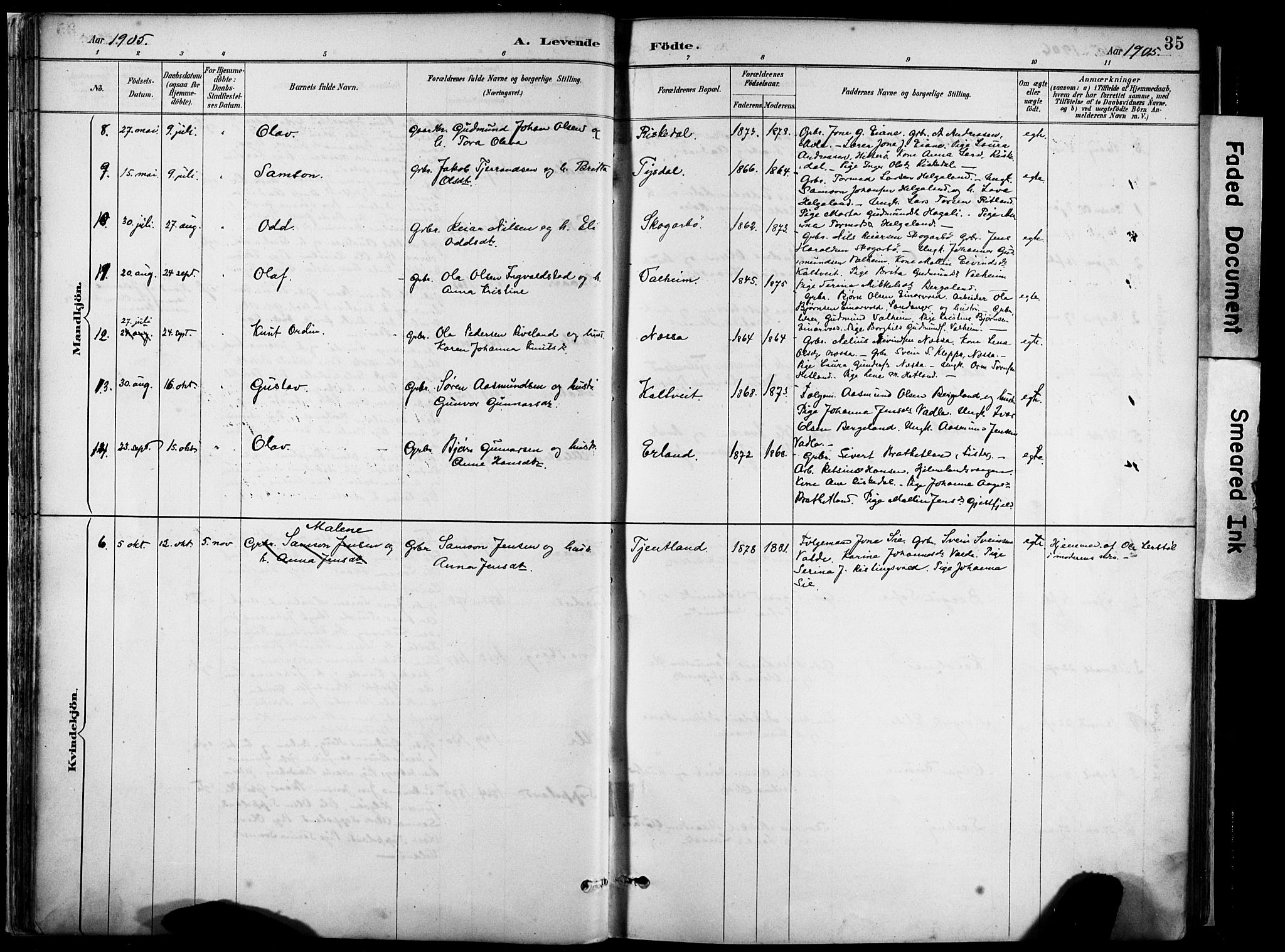 Hjelmeland sokneprestkontor, AV/SAST-A-101843/02/A/L0001: Parish register (official) no. A 16, 1887-1926, p. 35