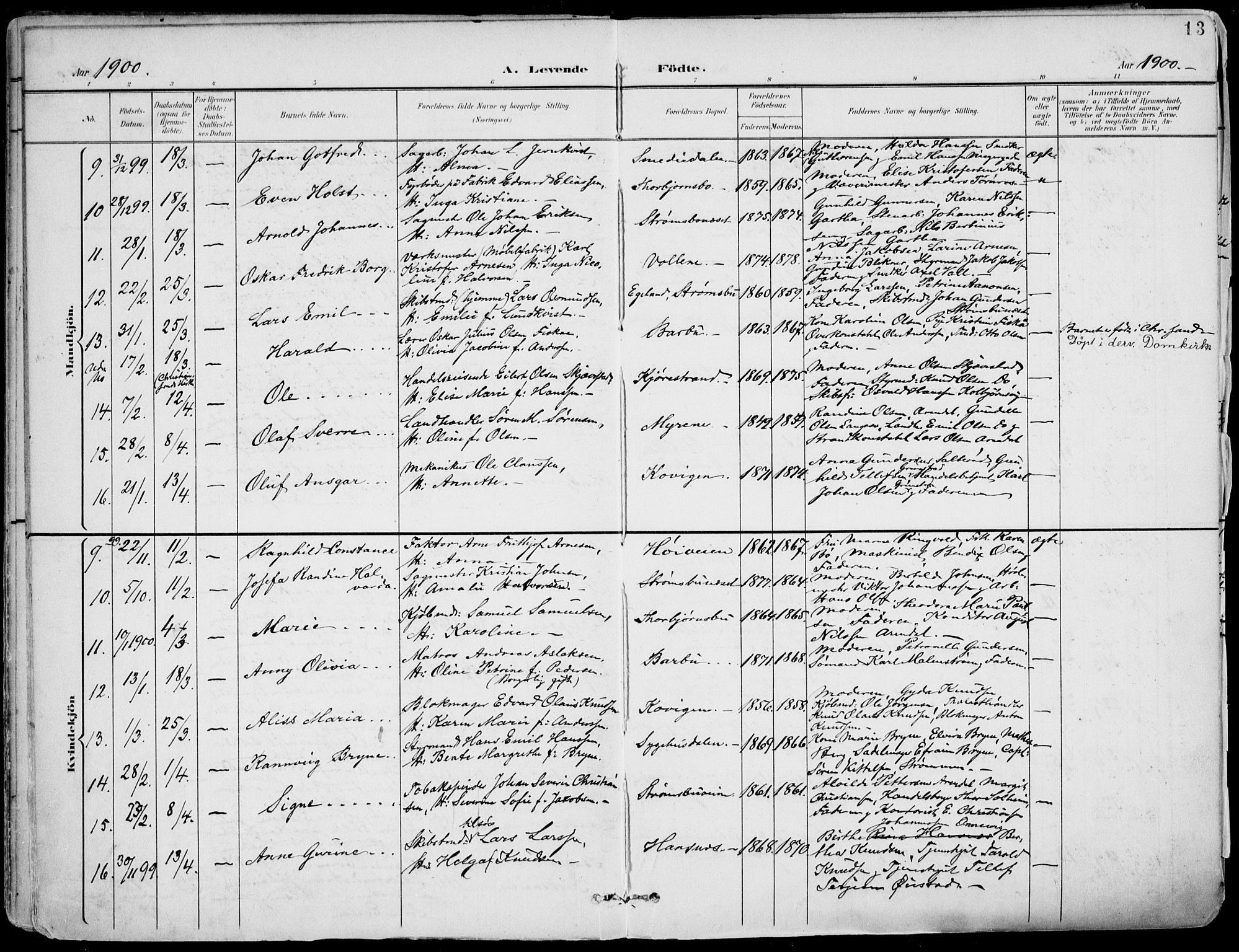 Barbu sokneprestkontor, AV/SAK-1111-0003/F/Fa/L0005: Parish register (official) no. A 5, 1899-1909, p. 13