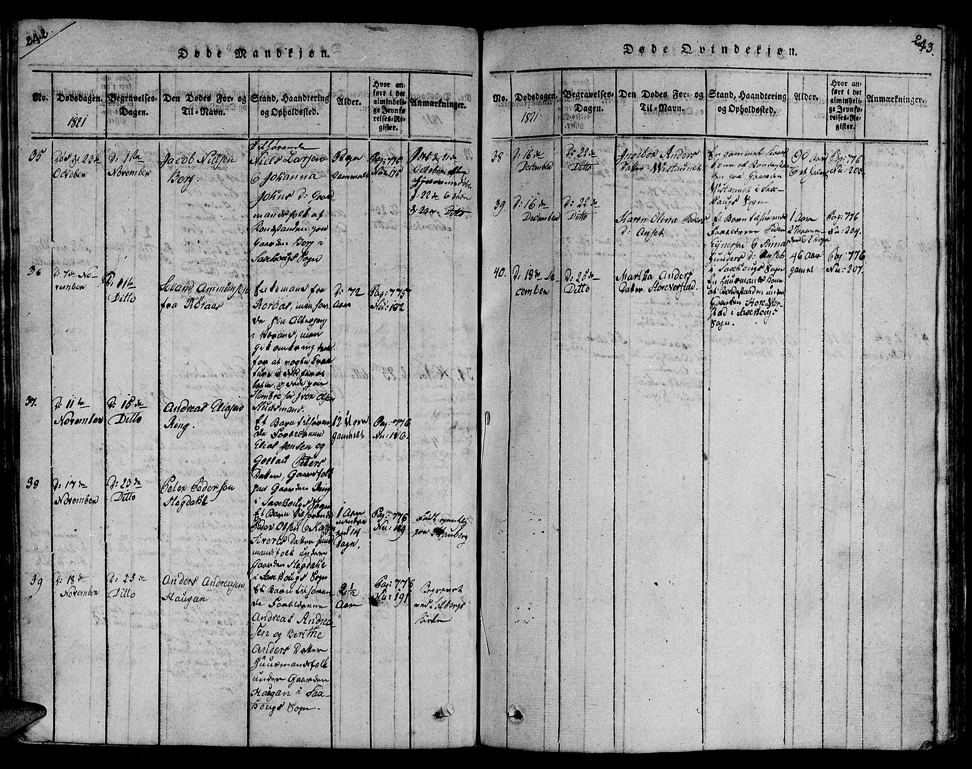 Ministerialprotokoller, klokkerbøker og fødselsregistre - Nord-Trøndelag, AV/SAT-A-1458/730/L0275: Parish register (official) no. 730A04, 1816-1822, p. 242-243