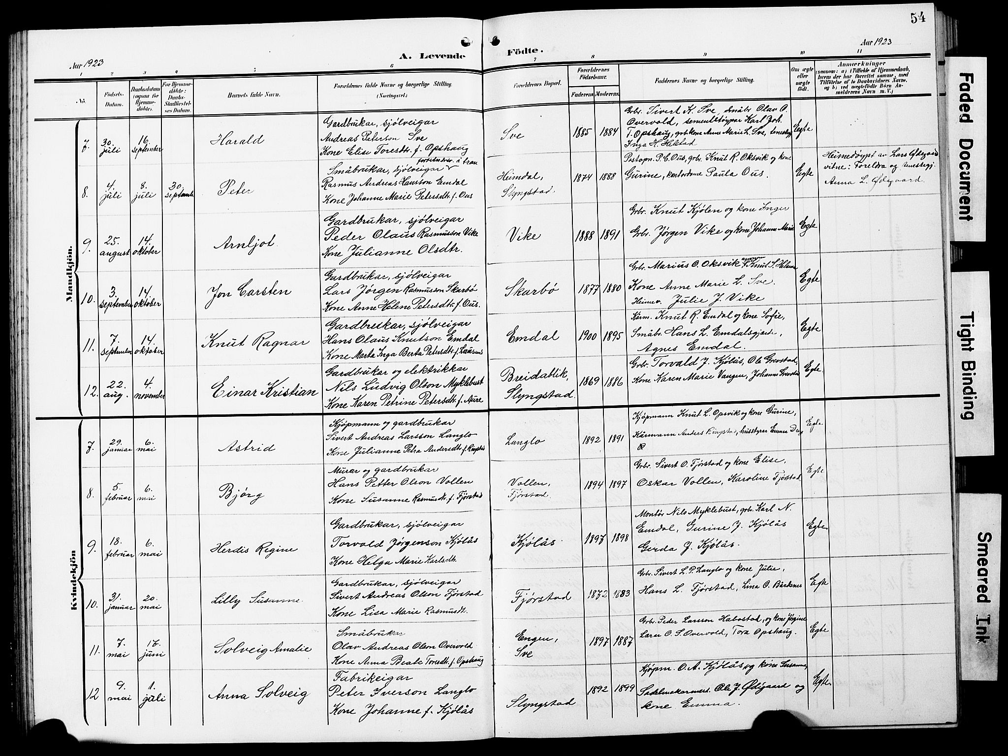 Ministerialprotokoller, klokkerbøker og fødselsregistre - Møre og Romsdal, AV/SAT-A-1454/520/L0293: Parish register (copy) no. 520C05, 1902-1923, p. 54