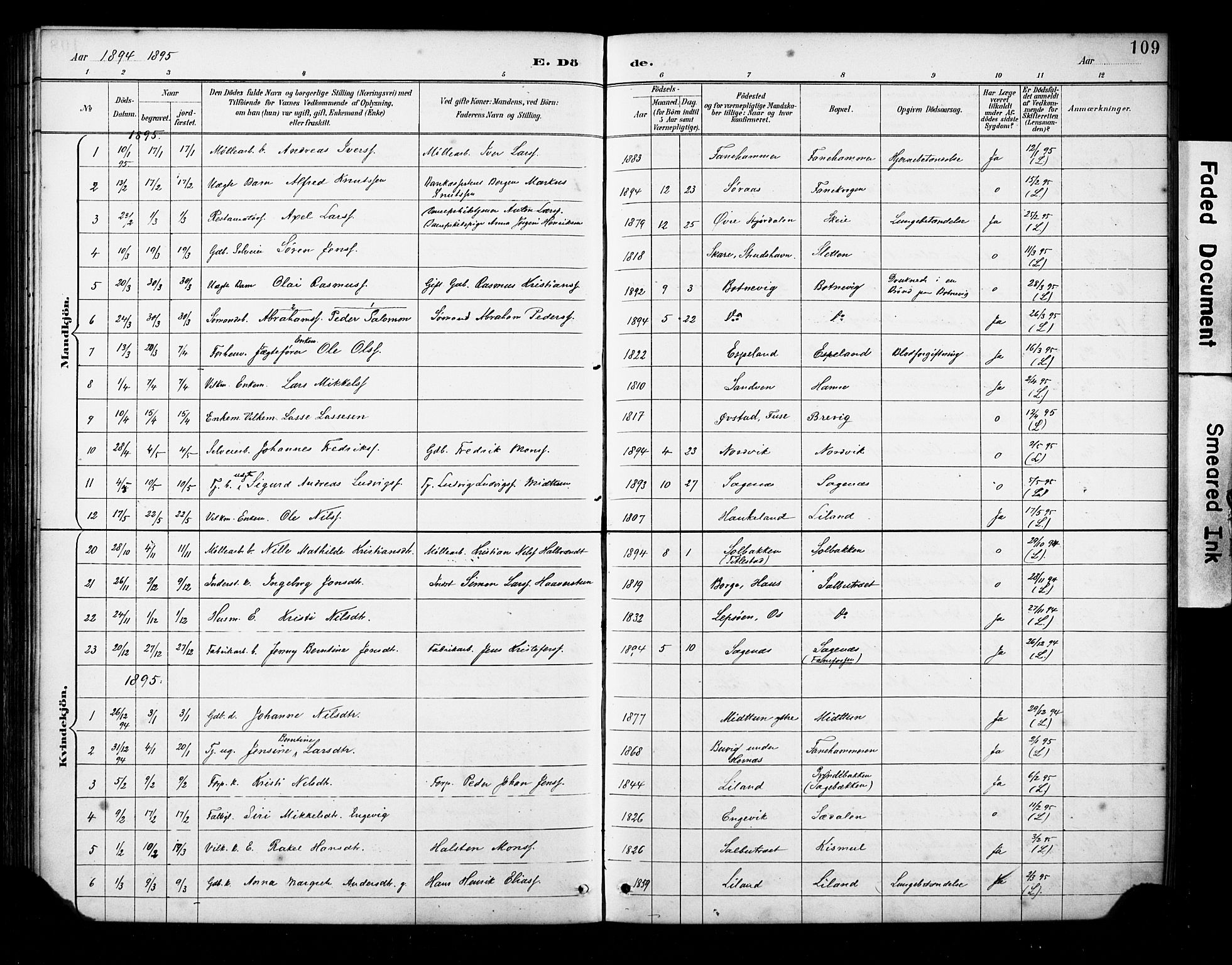 Fana Sokneprestembete, AV/SAB-A-75101/H/Haa/Haab/L0002: Parish register (official) no. B 2, 1890-1897, p. 109