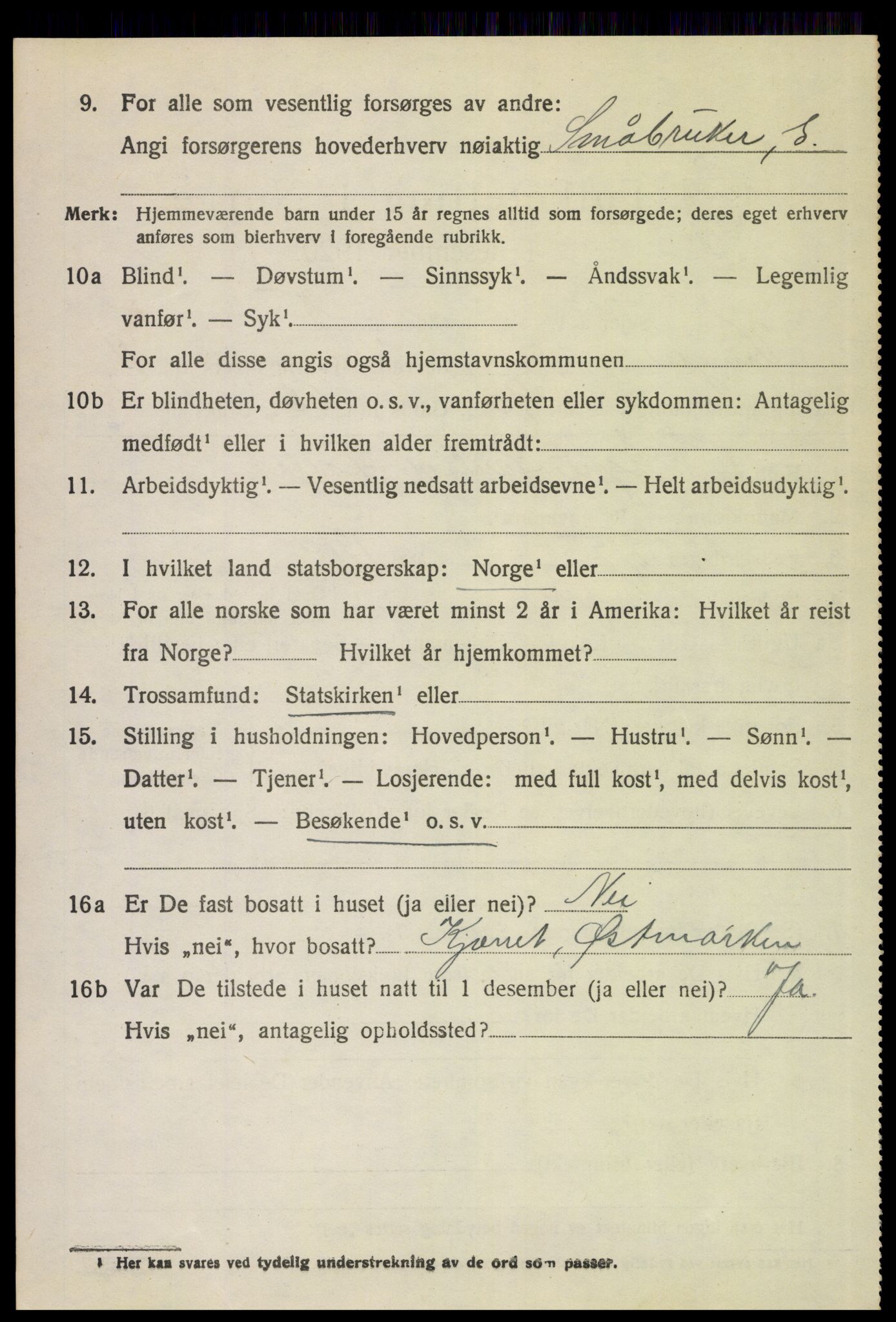 SAH, 1920 census for Vinger, 1920, p. 10033