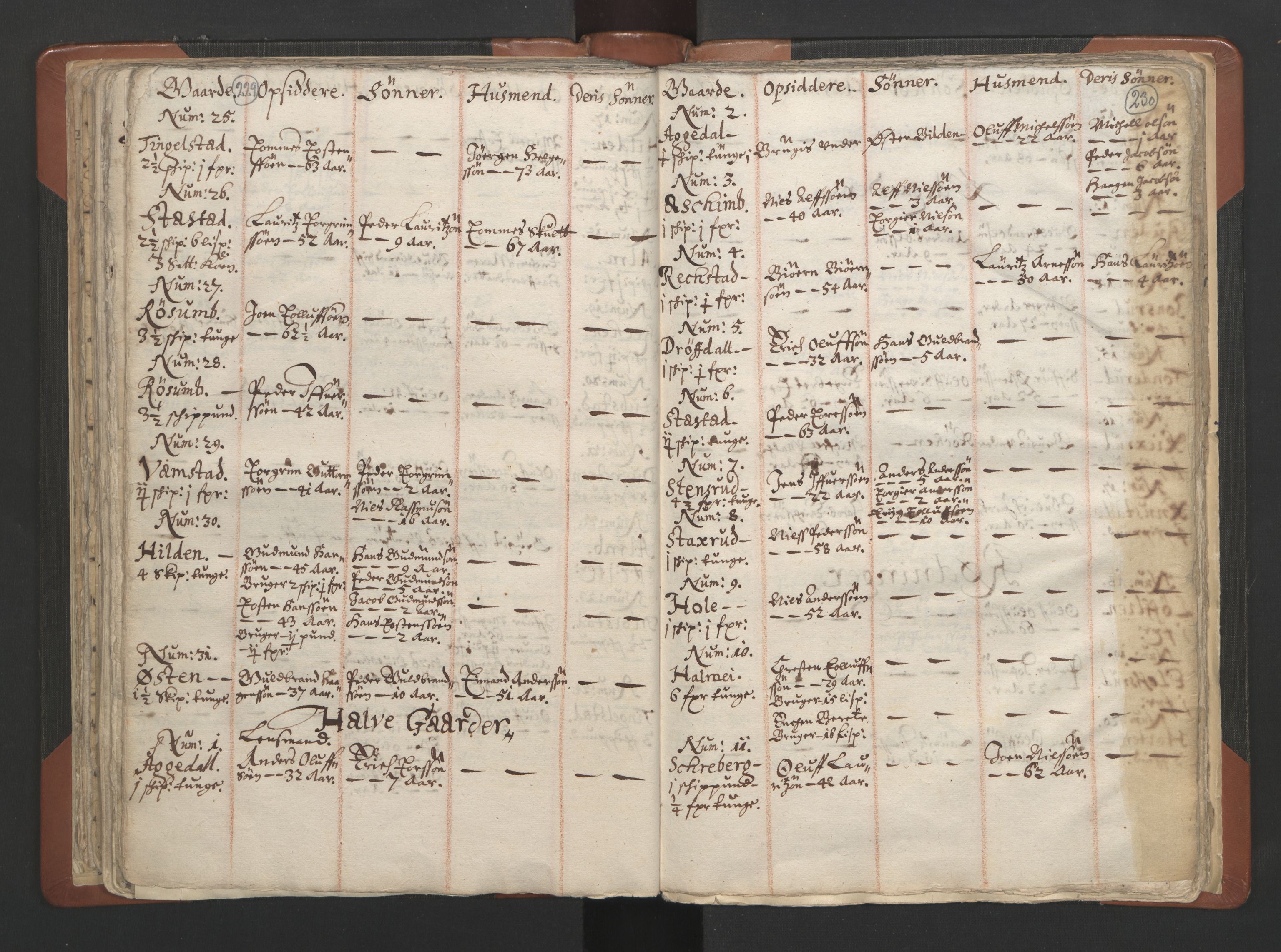 RA, Vicar's Census 1664-1666, no. 7: Hadeland deanery, 1664-1666, p. 229-230