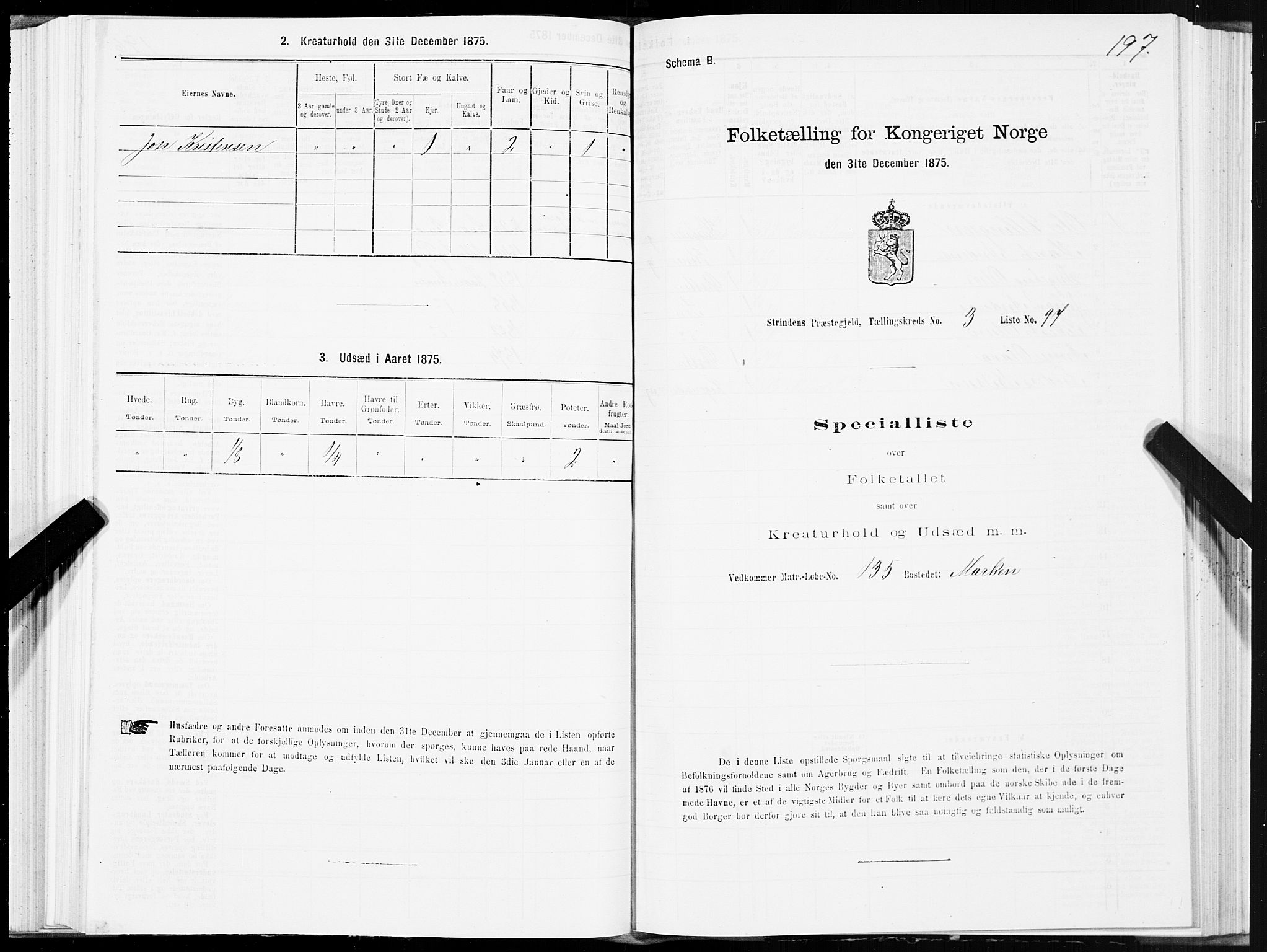 SAT, 1875 census for 1660P Strinda, 1875, p. 2197