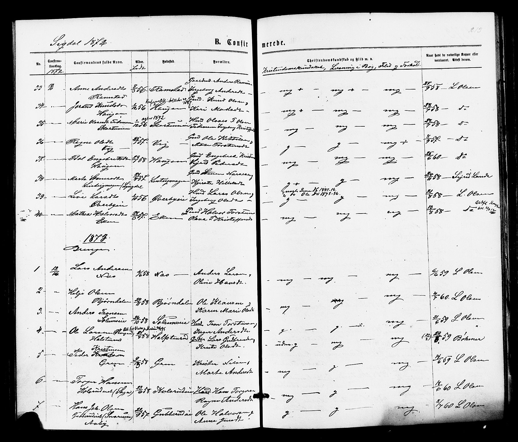 Sigdal kirkebøker, SAKO/A-245/F/Fa/L0010: Parish register (official) no. I 10 /1, 1872-1878, p. 213