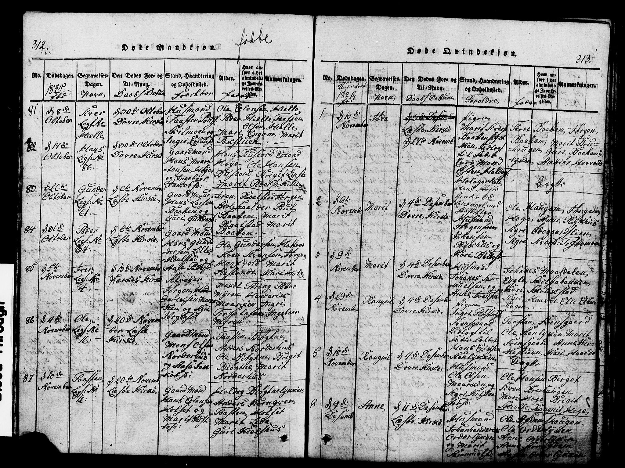 Lesja prestekontor, SAH/PREST-068/H/Ha/Hab/L0001: Parish register (copy) no. 1, 1820-1831, p. 312-313