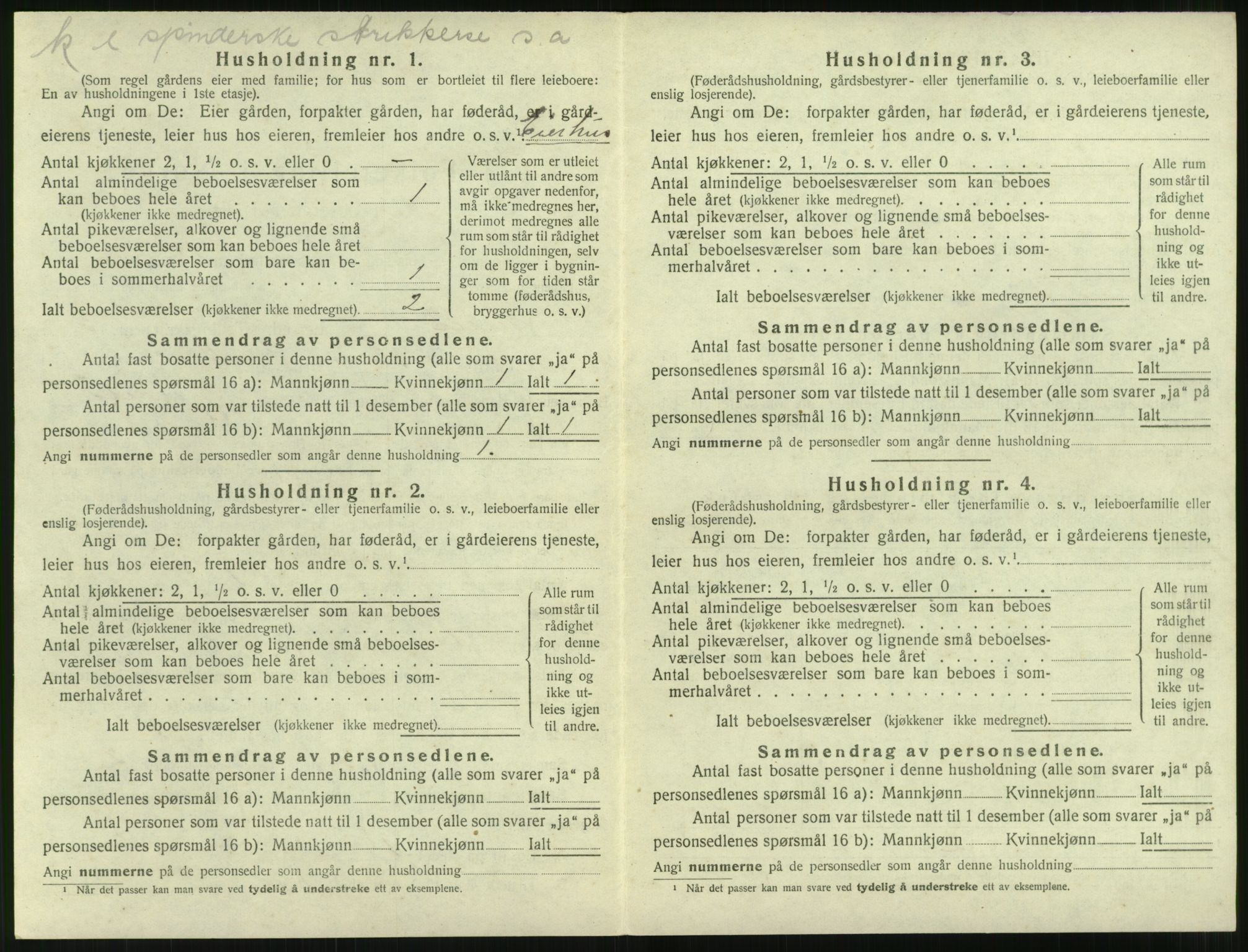 SAT, 1920 census for Nesset, 1920, p. 169