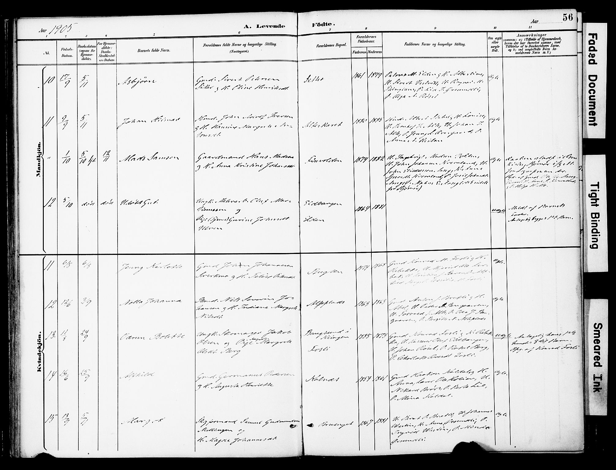 Ministerialprotokoller, klokkerbøker og fødselsregistre - Nord-Trøndelag, SAT/A-1458/742/L0409: Parish register (official) no. 742A02, 1891-1905, p. 56