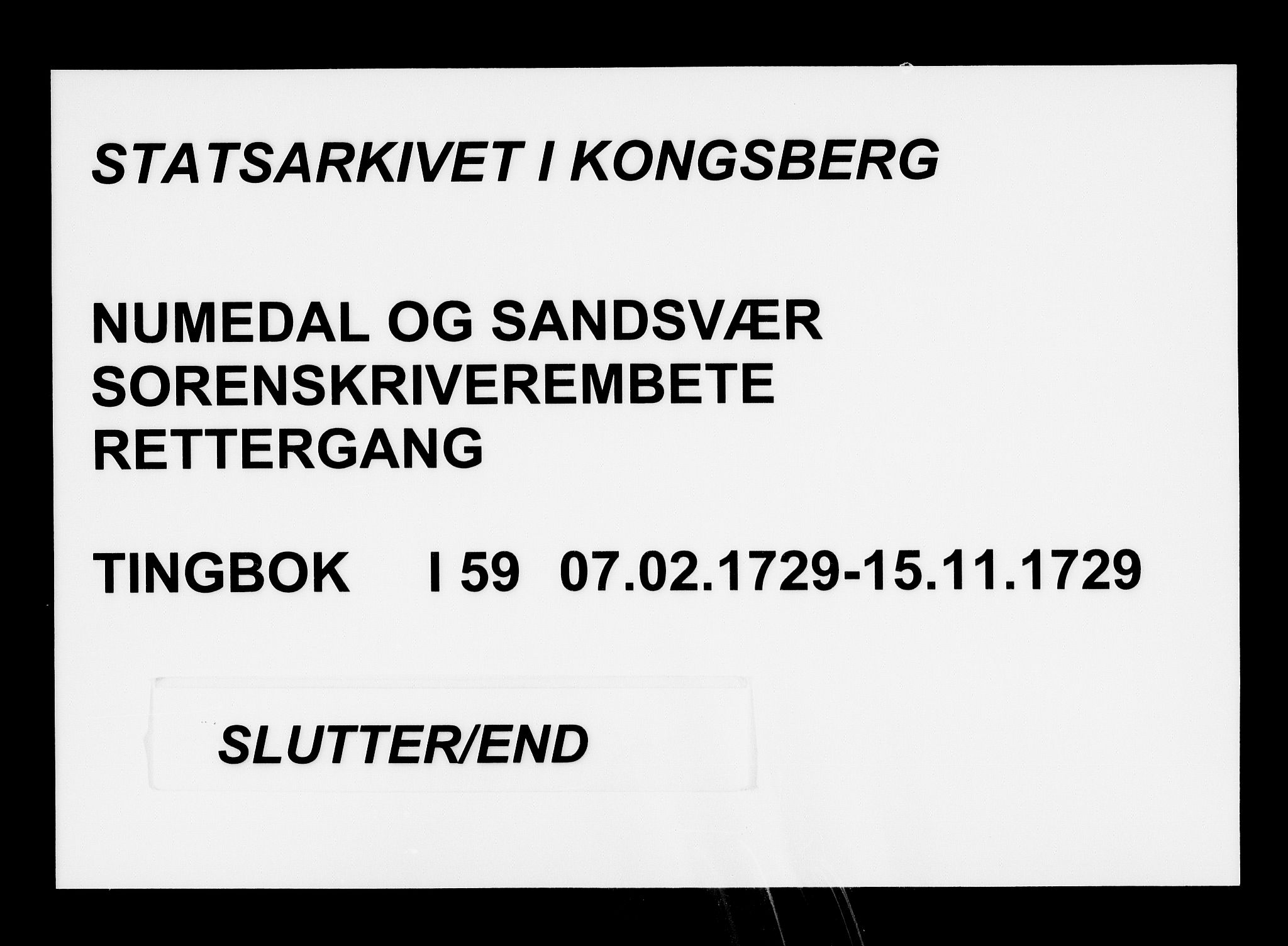 Numedal og Sandsvær sorenskriveri, AV/SAKO-A-128/F/Fa/Faa/L0059: Tingbøker, 1729