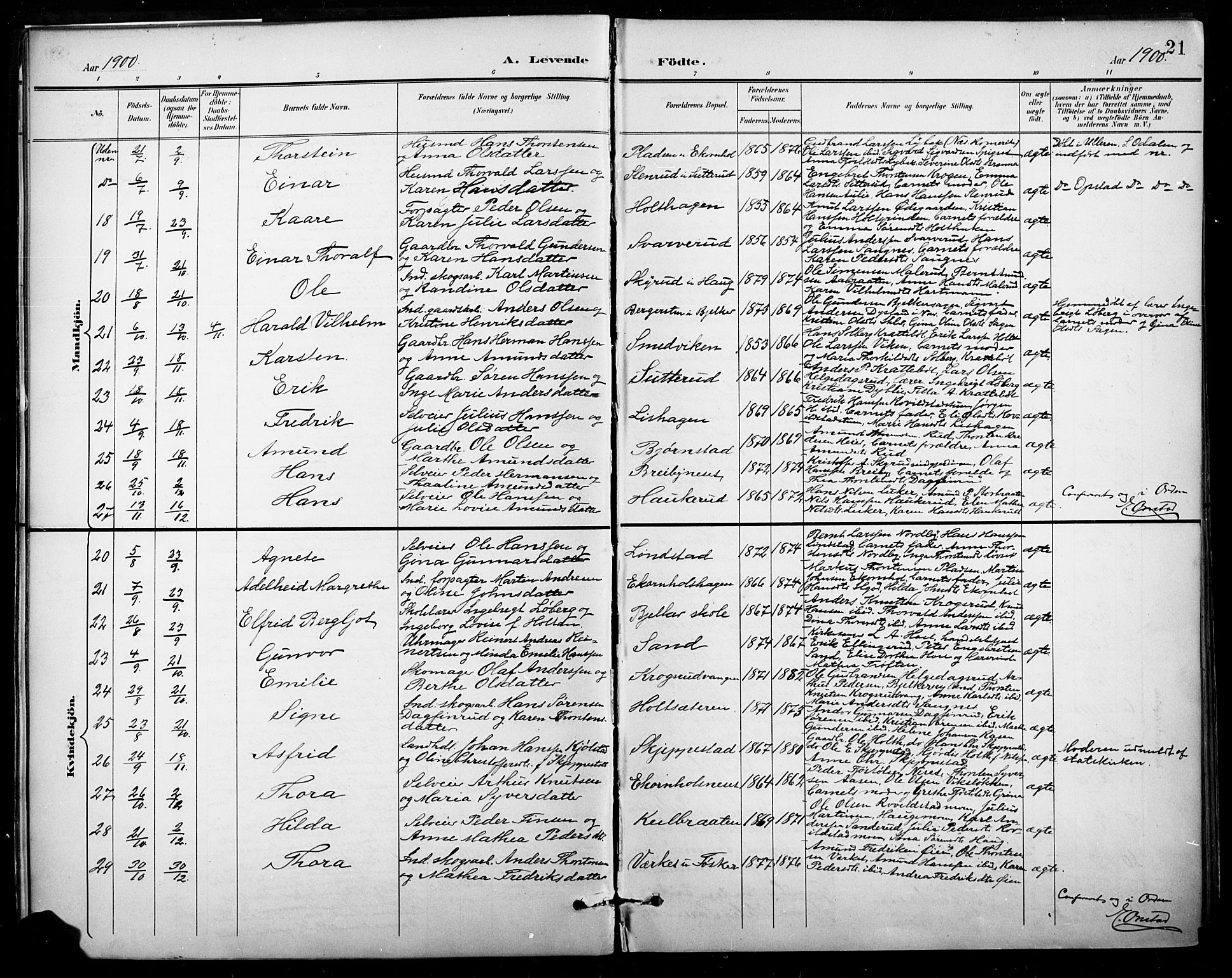 Nord-Odal prestekontor, AV/SAH-PREST-032/H/Ha/Hab/L0003: Parish register (copy) no. 3, 1895-1923, p. 21