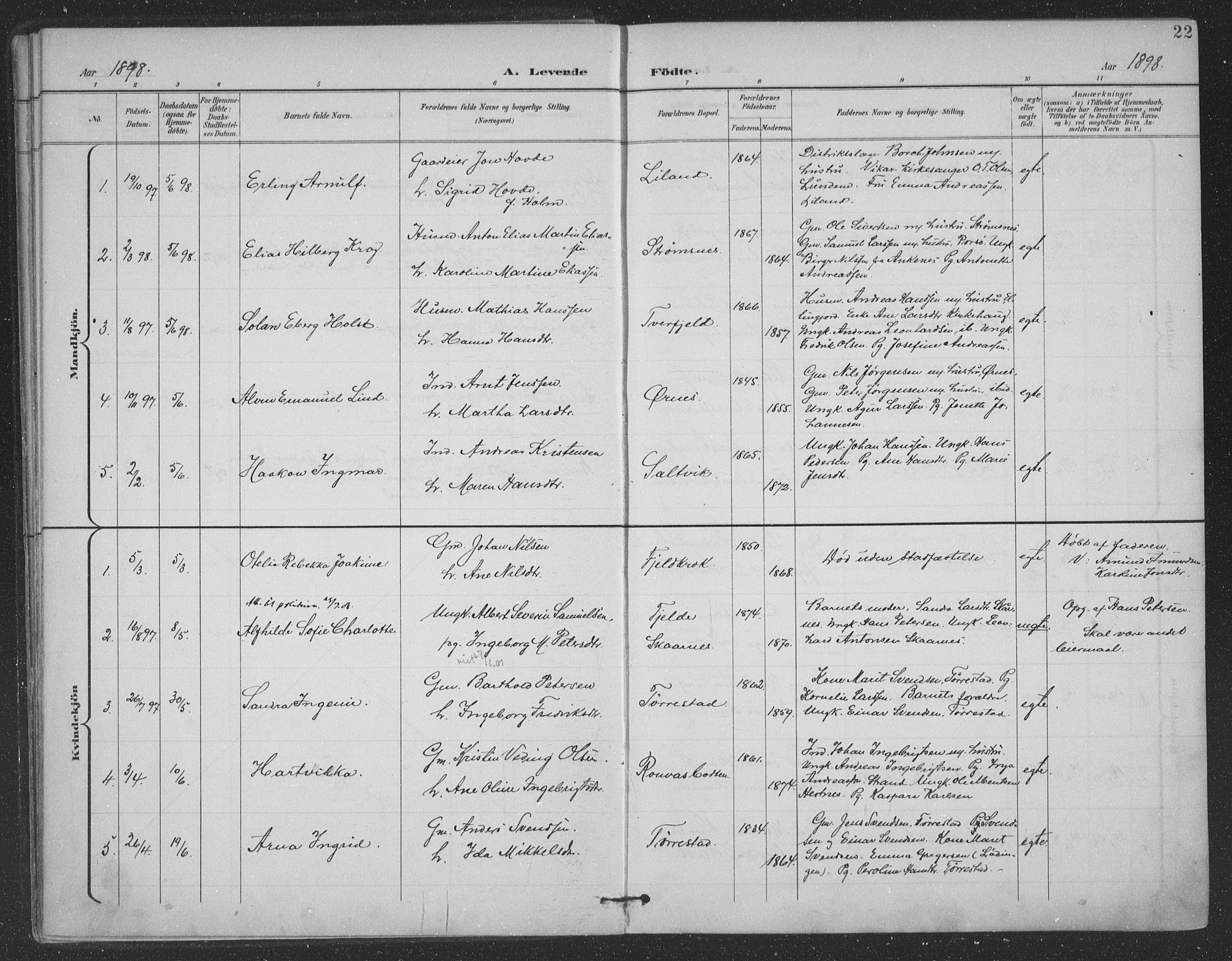 Ministerialprotokoller, klokkerbøker og fødselsregistre - Nordland, AV/SAT-A-1459/863/L0899: Parish register (official) no. 863A11, 1897-1906, p. 22