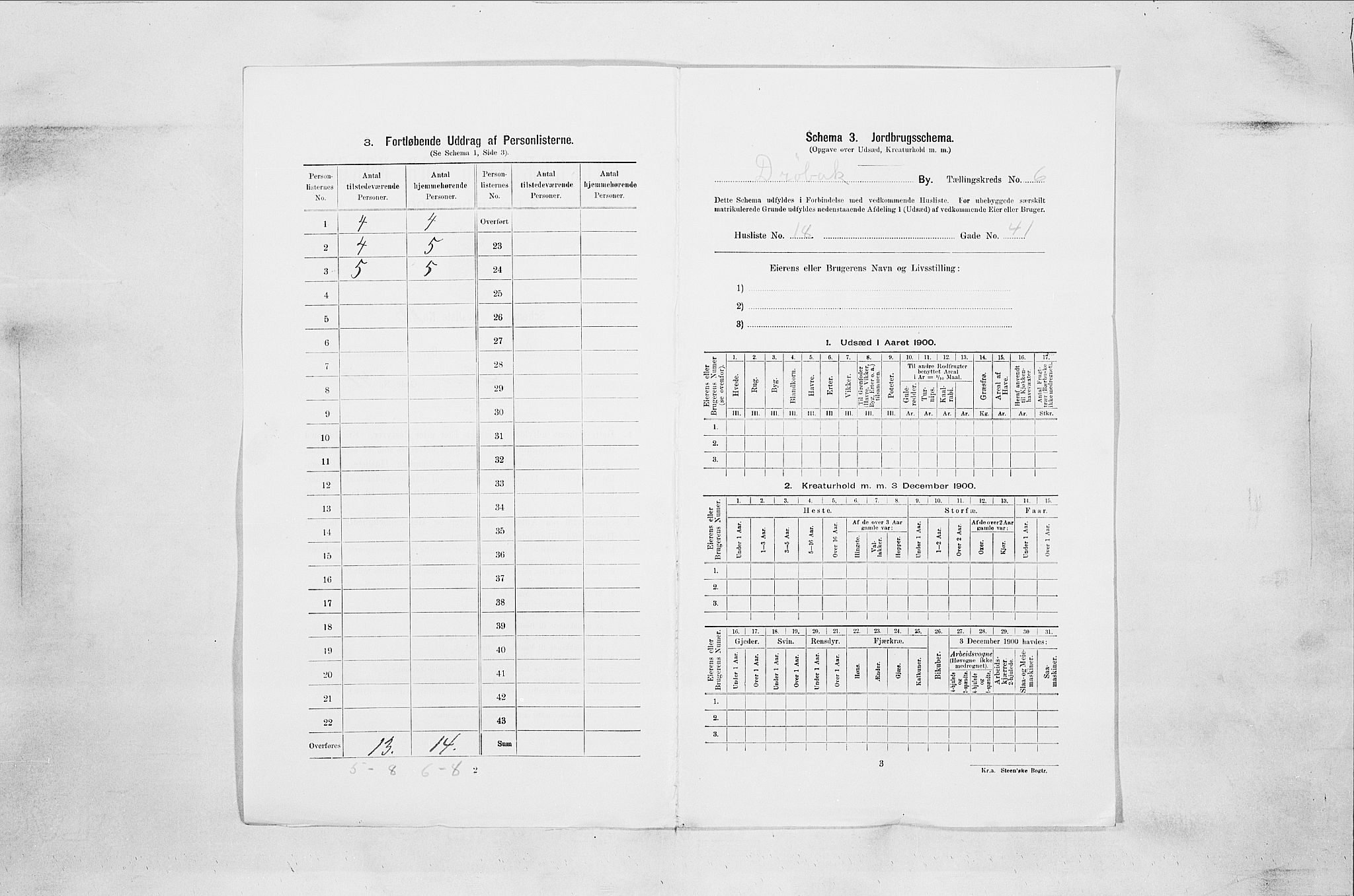 SAO, 1900 census for Drøbak, 1900