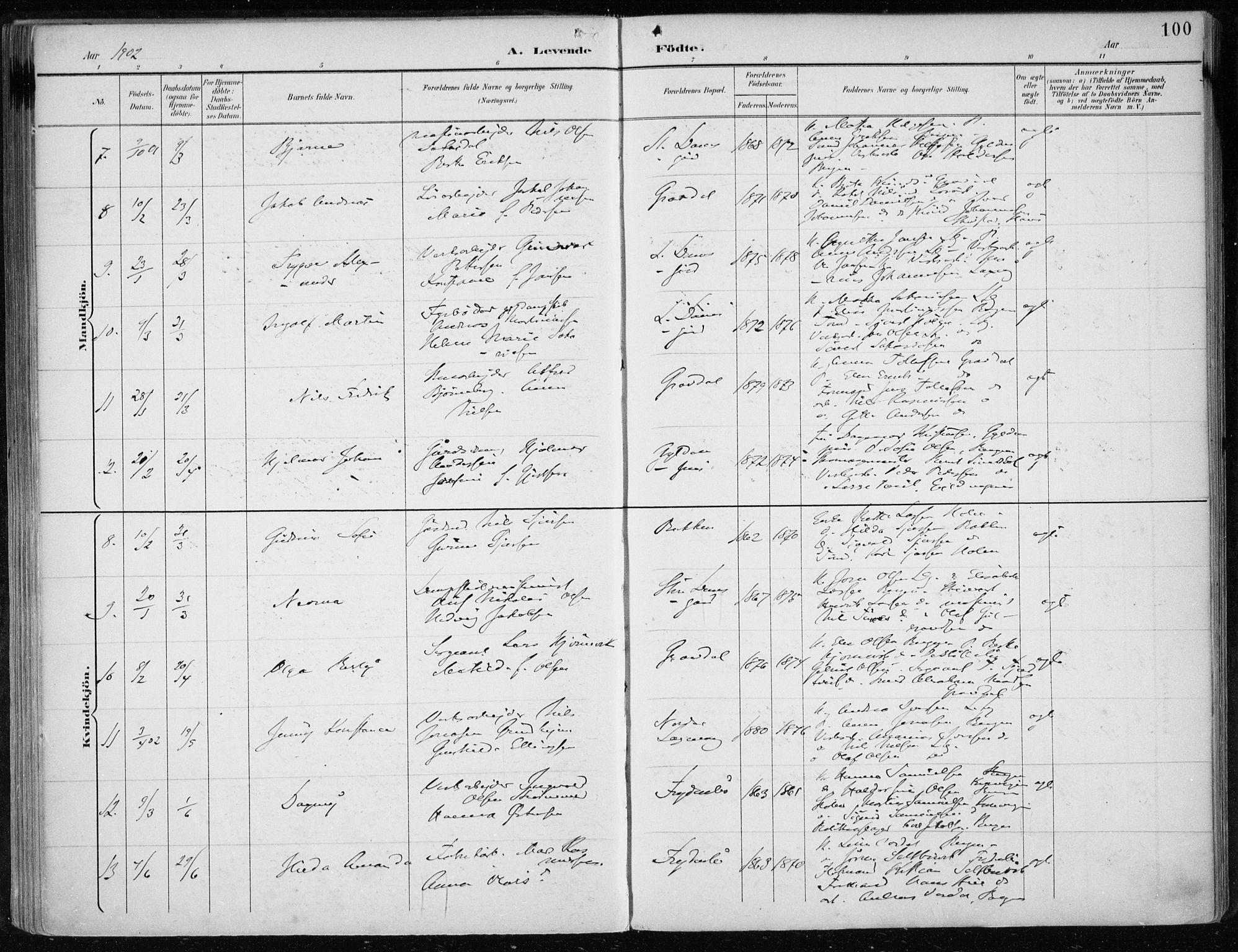 Askøy Sokneprestembete, SAB/A-74101/H/Ha/Haa/Haae/L0003: Parish register (official) no. E 3, 1891-1903, p. 100