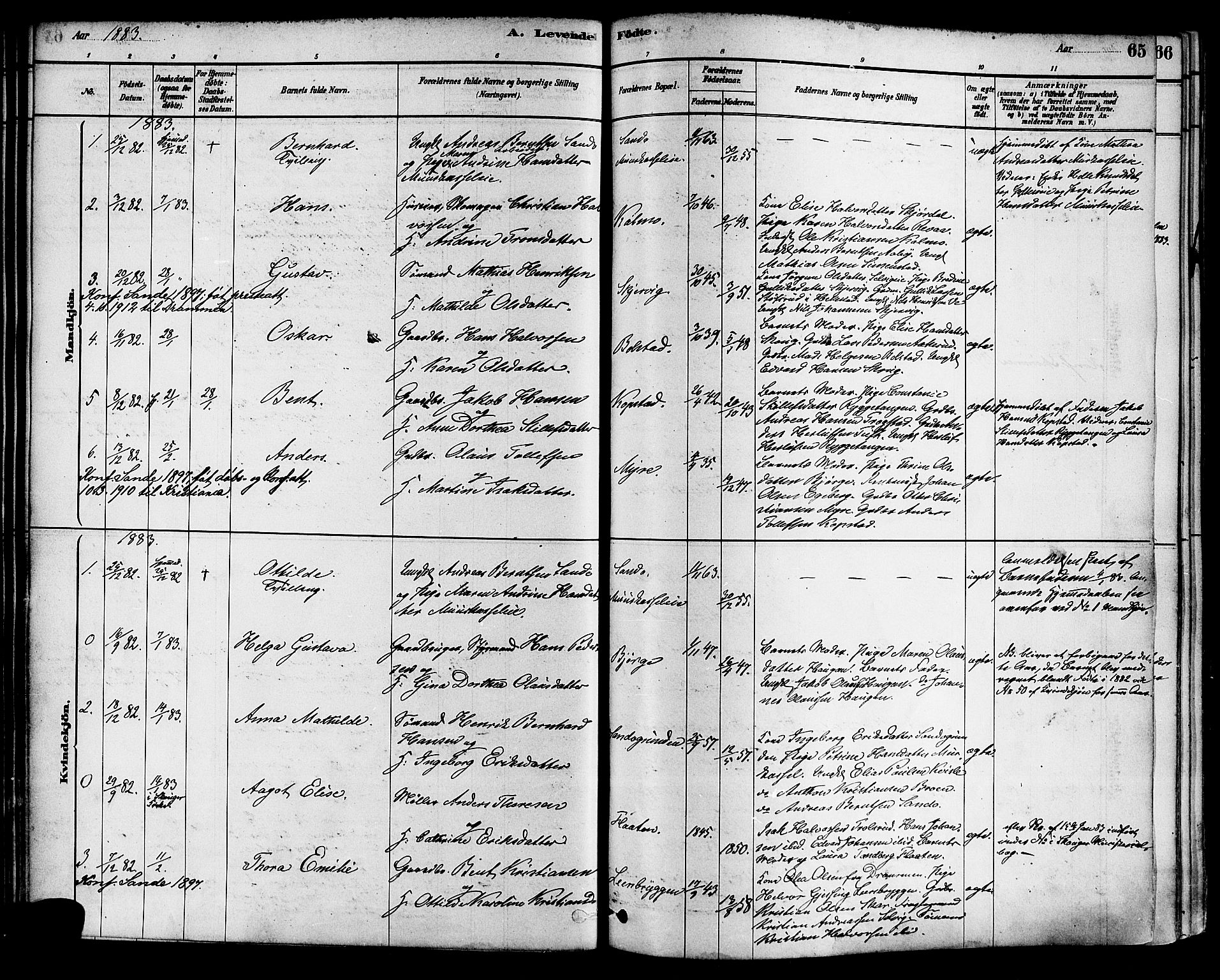 Sande Kirkebøker, AV/SAKO-A-53/F/Fa/L0006: Parish register (official) no. 6, 1878-1888, p. 65