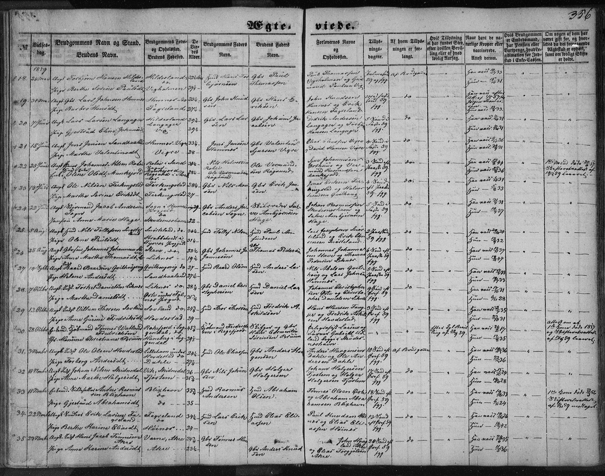 Skudenes sokneprestkontor, SAST/A -101849/H/Ha/Haa/L0005: Parish register (official) no. A 3.2, 1847-1863, p. 356