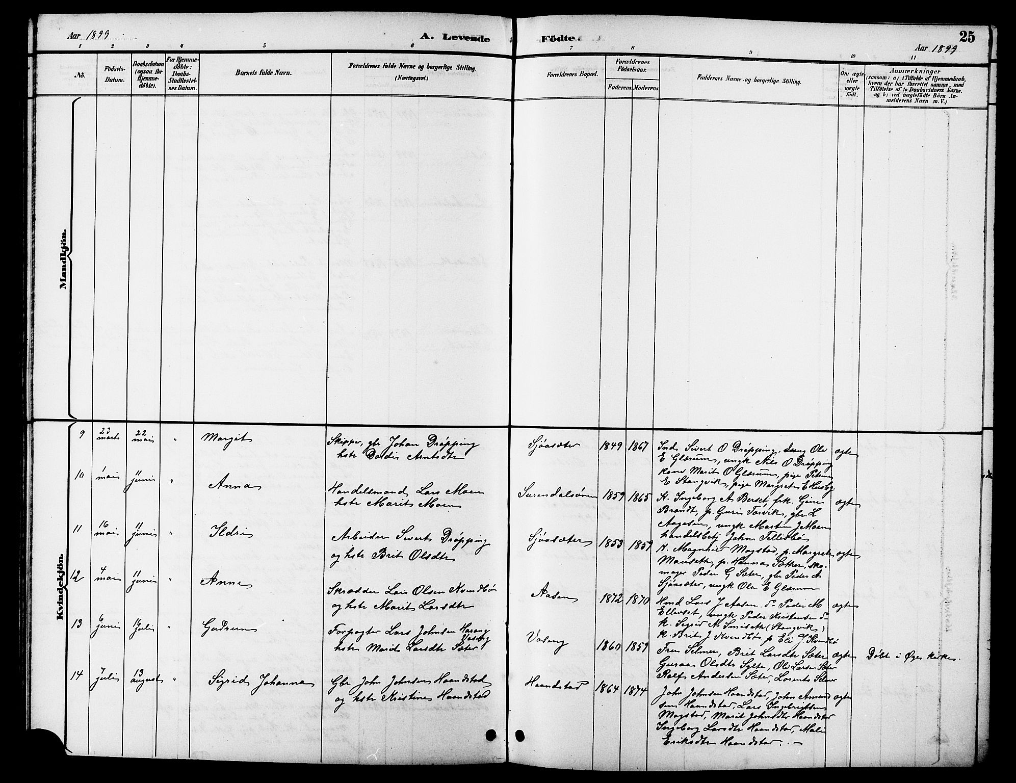 Ministerialprotokoller, klokkerbøker og fødselsregistre - Møre og Romsdal, AV/SAT-A-1454/596/L1058: Parish register (copy) no. 596C01, 1891-1907, p. 25