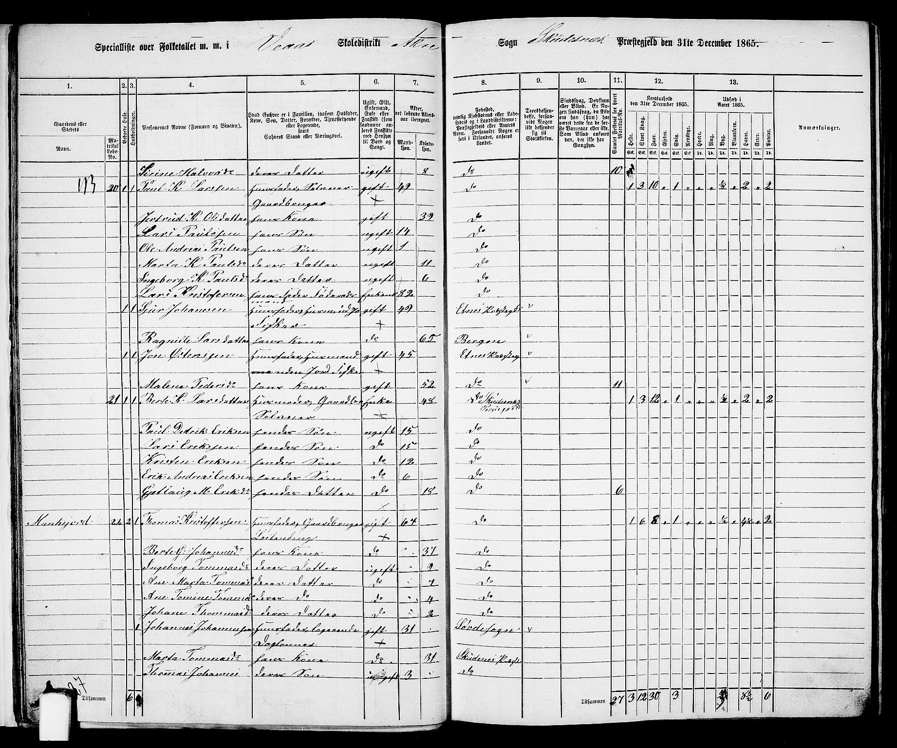 RA, 1865 census for Skudenes, 1865, p. 20