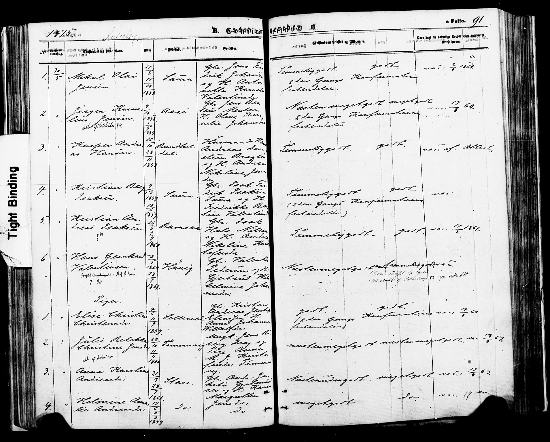Ministerialprotokoller, klokkerbøker og fødselsregistre - Nordland, SAT/A-1459/897/L1397: Parish register (official) no. 897A05 /1, 1867-1880, p. 91