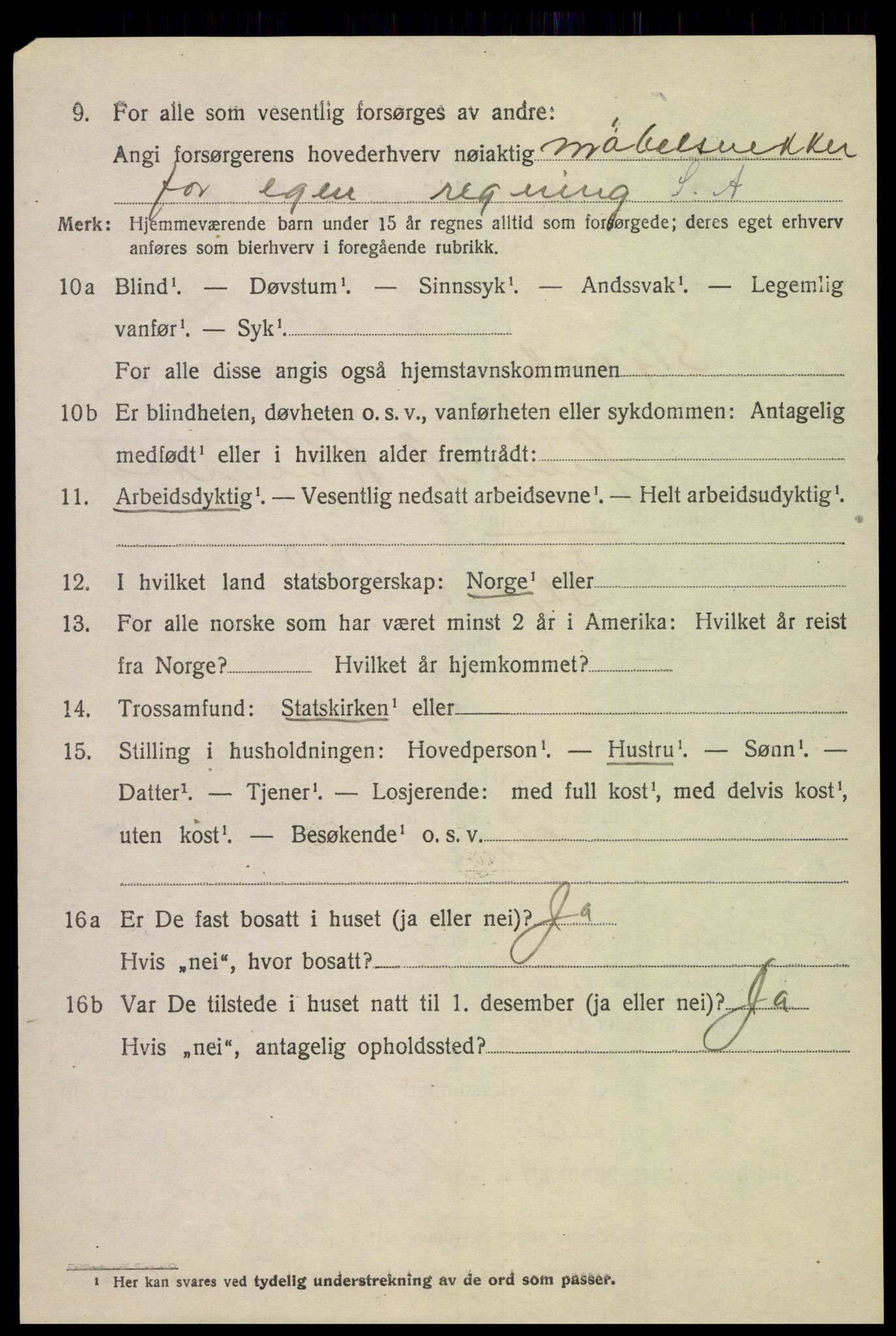 SAH, 1920 census for Skjåk, 1920, p. 3713