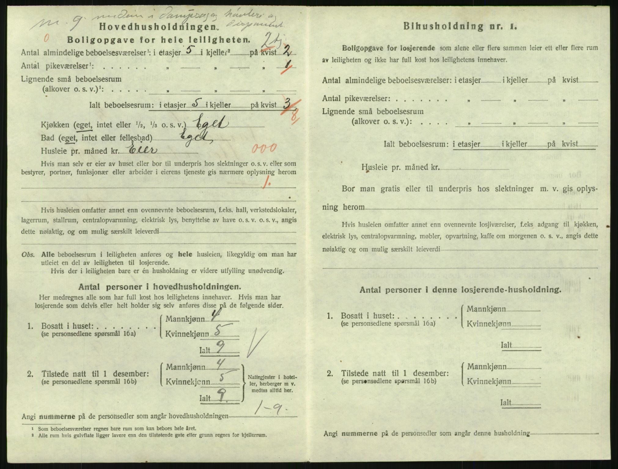 SAKO, 1920 census for Larvik, 1920, p. 6705