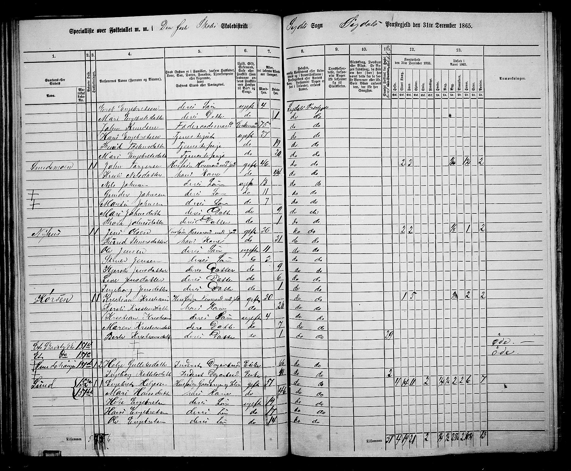 RA, 1865 census for Sigdal, 1865, p. 82