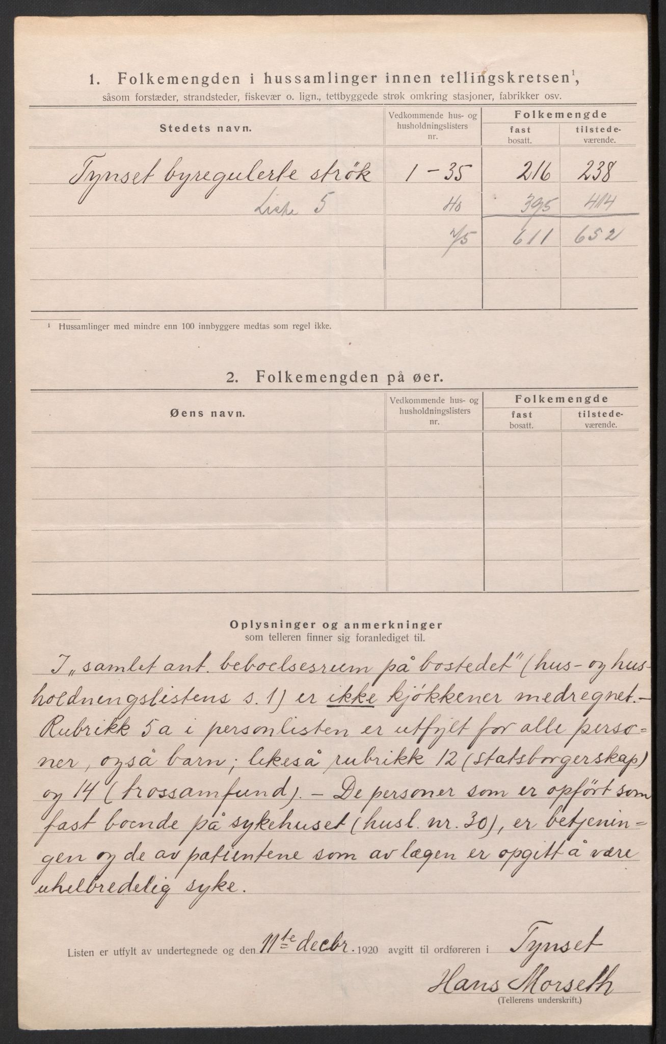 SAH, 1920 census for Tynset, 1920, p. 31