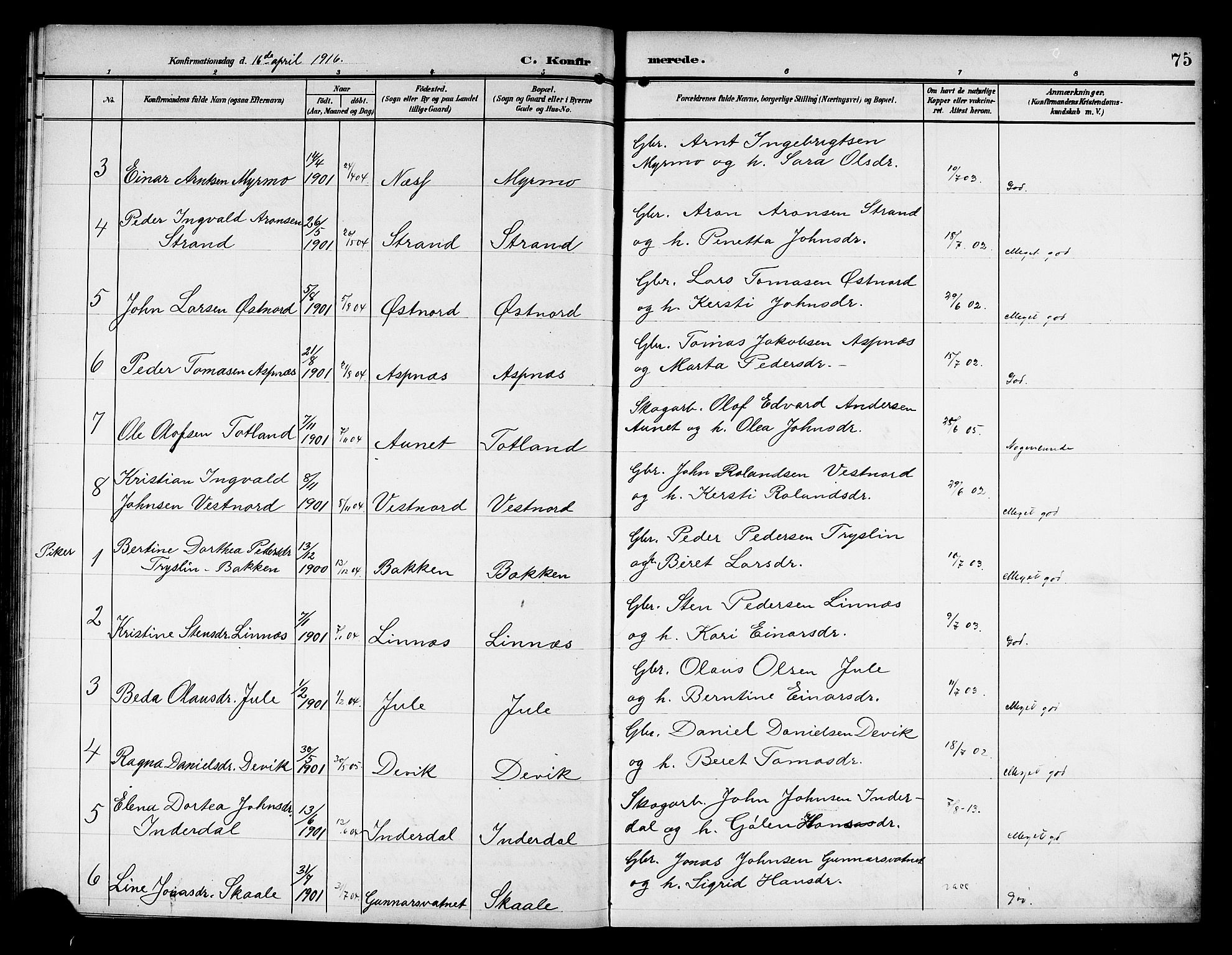 Ministerialprotokoller, klokkerbøker og fødselsregistre - Nord-Trøndelag, SAT/A-1458/757/L0506: Parish register (copy) no. 757C01, 1904-1922, p. 75