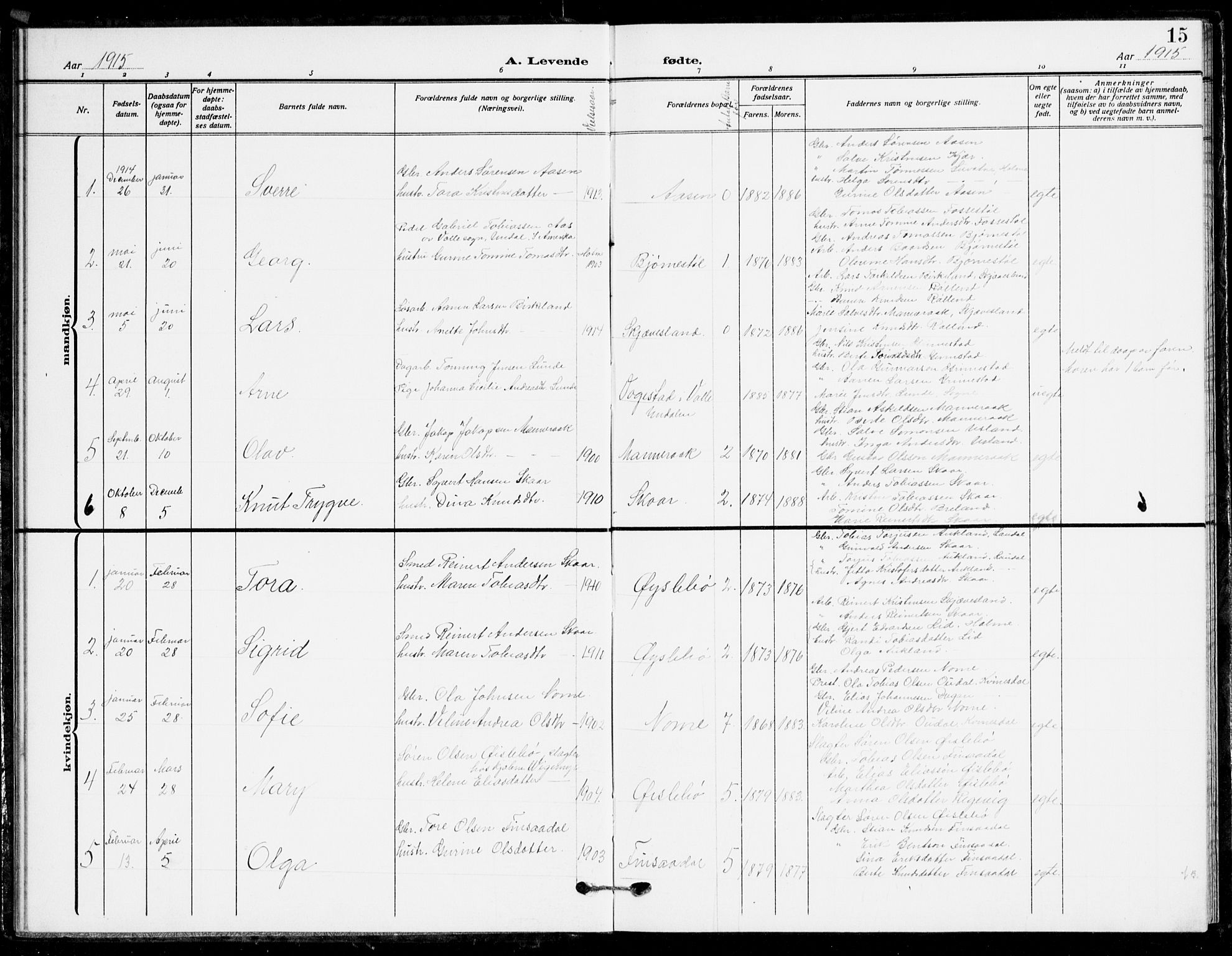 Holum sokneprestkontor, AV/SAK-1111-0022/F/Fb/Fbc/L0004: Parish register (copy) no. B 4, 1908-1930, p. 15