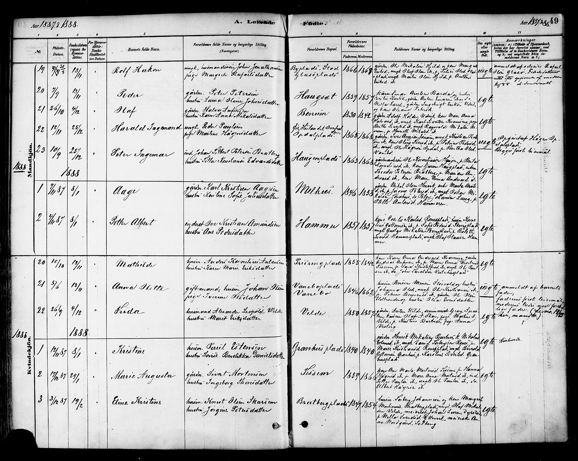 Ministerialprotokoller, klokkerbøker og fødselsregistre - Nord-Trøndelag, AV/SAT-A-1458/741/L0395: Parish register (official) no. 741A09, 1878-1888, p. 49