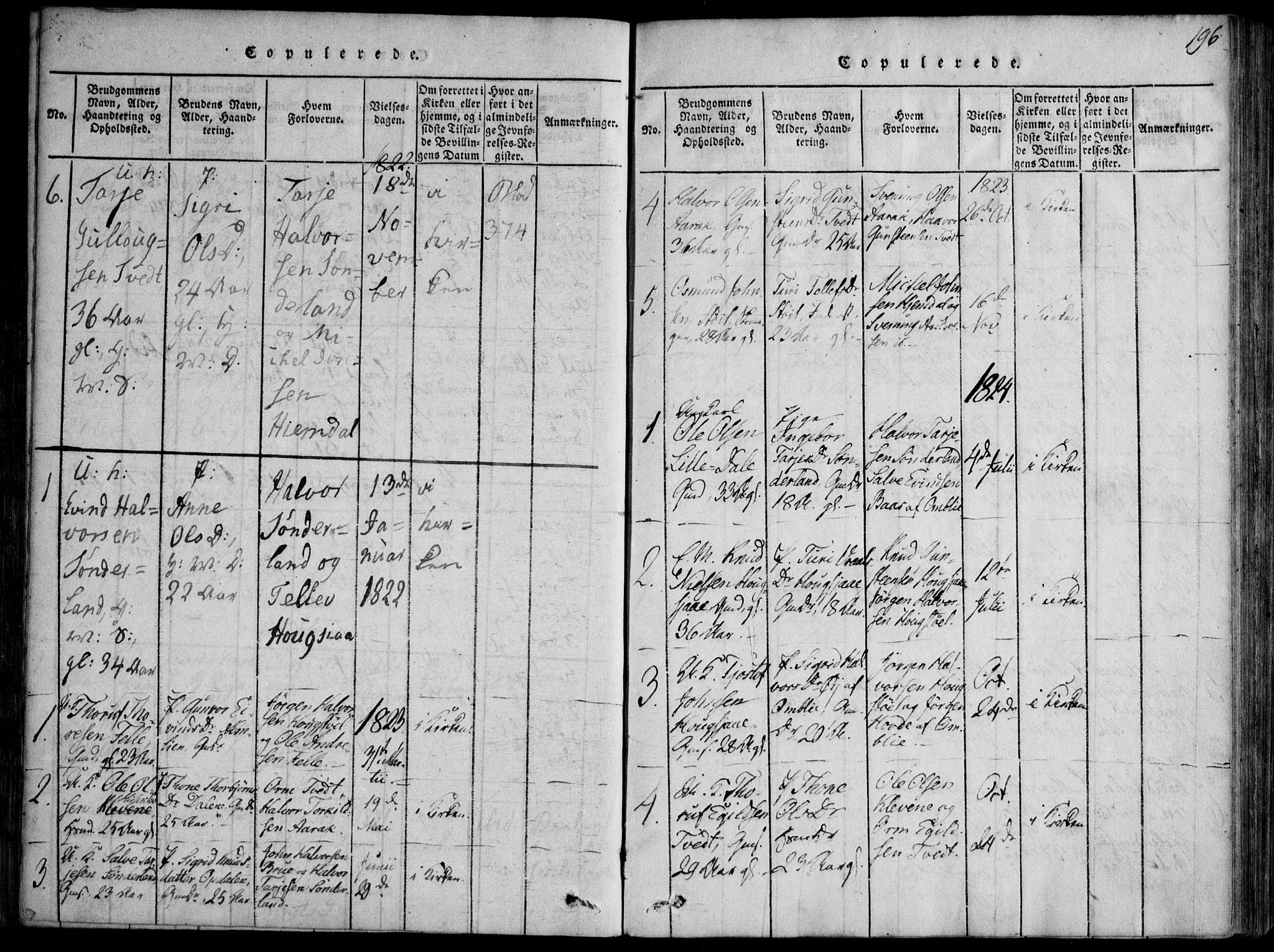 Nissedal kirkebøker, SAKO/A-288/F/Fb/L0001: Parish register (official) no. II 1, 1814-1845, p. 196