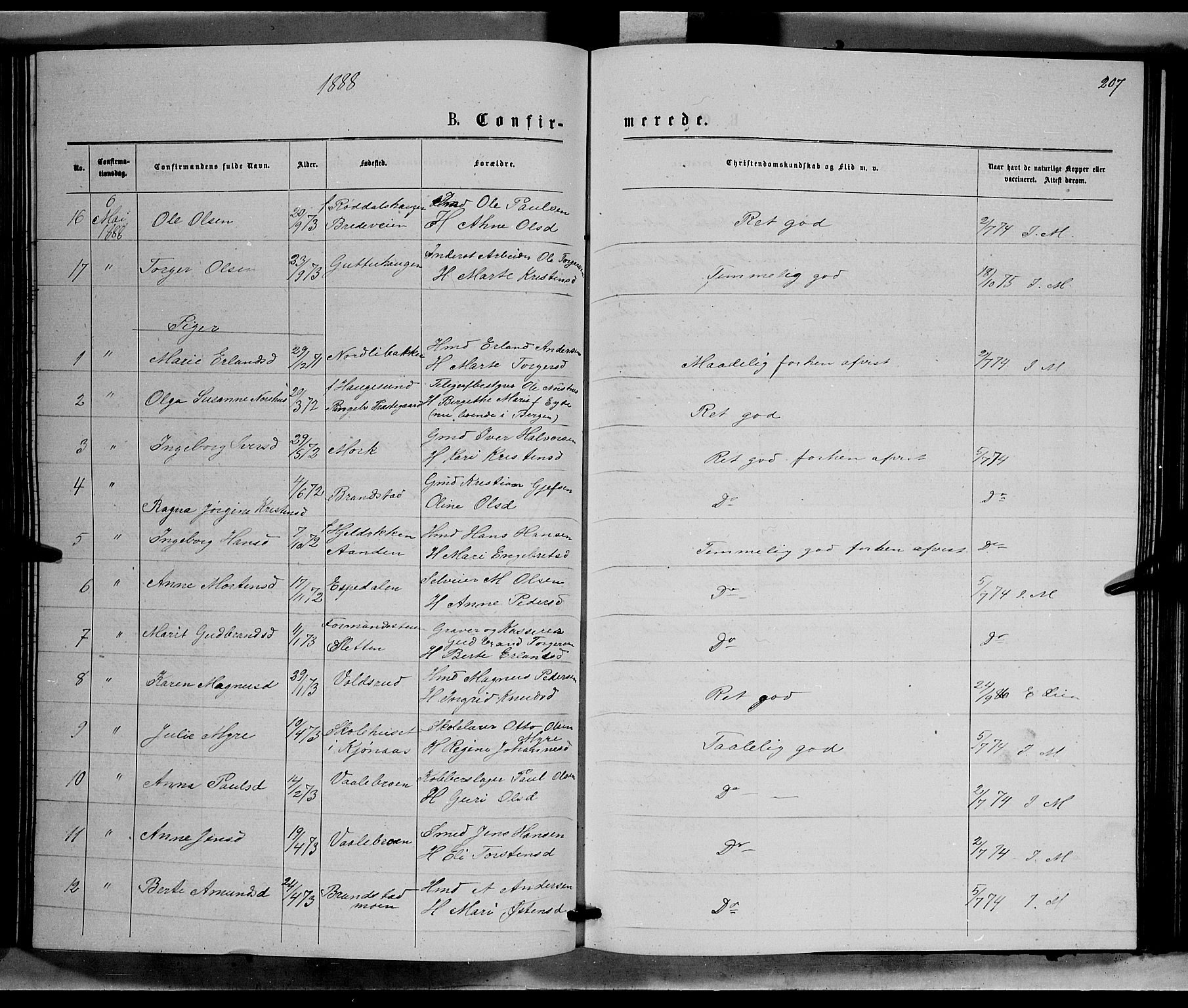Ringebu prestekontor, SAH/PREST-082/H/Ha/Hab/L0006: Parish register (copy) no. 6, 1880-1898, p. 207