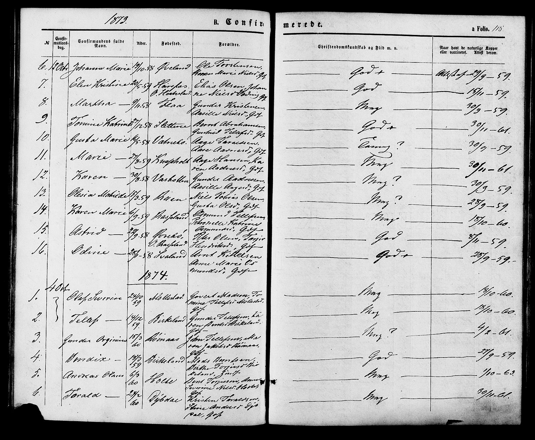 Birkenes sokneprestkontor, AV/SAK-1111-0004/F/Fa/L0004: Parish register (official) no. A 4, 1867-1886, p. 115