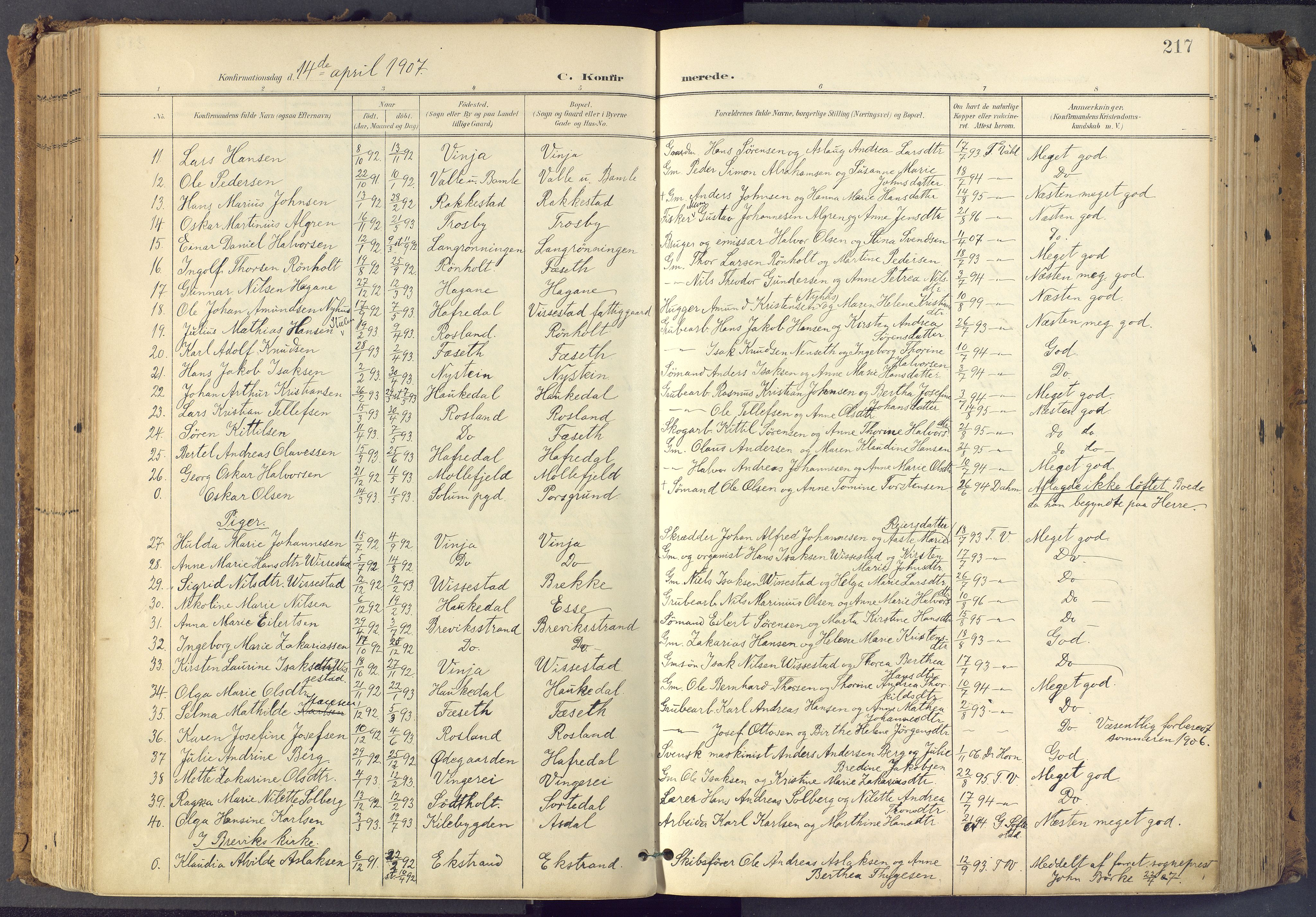 Bamble kirkebøker, SAKO/A-253/F/Fa/L0009: Parish register (official) no. I 9, 1901-1917, p. 217
