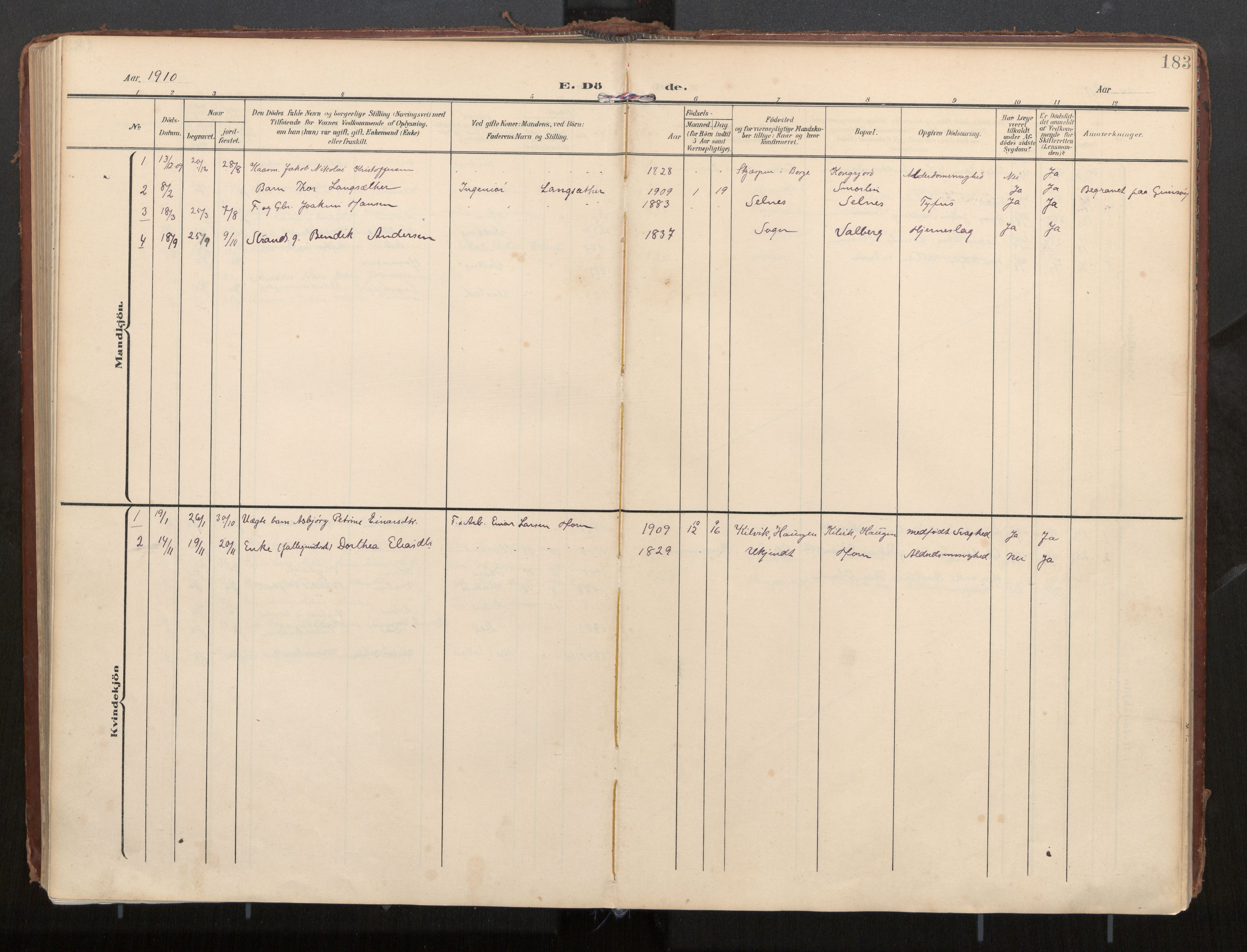 Ministerialprotokoller, klokkerbøker og fødselsregistre - Nordland, AV/SAT-A-1459/884/L1194: Parish register (official) no. 884A02, 1906-1937, p. 183