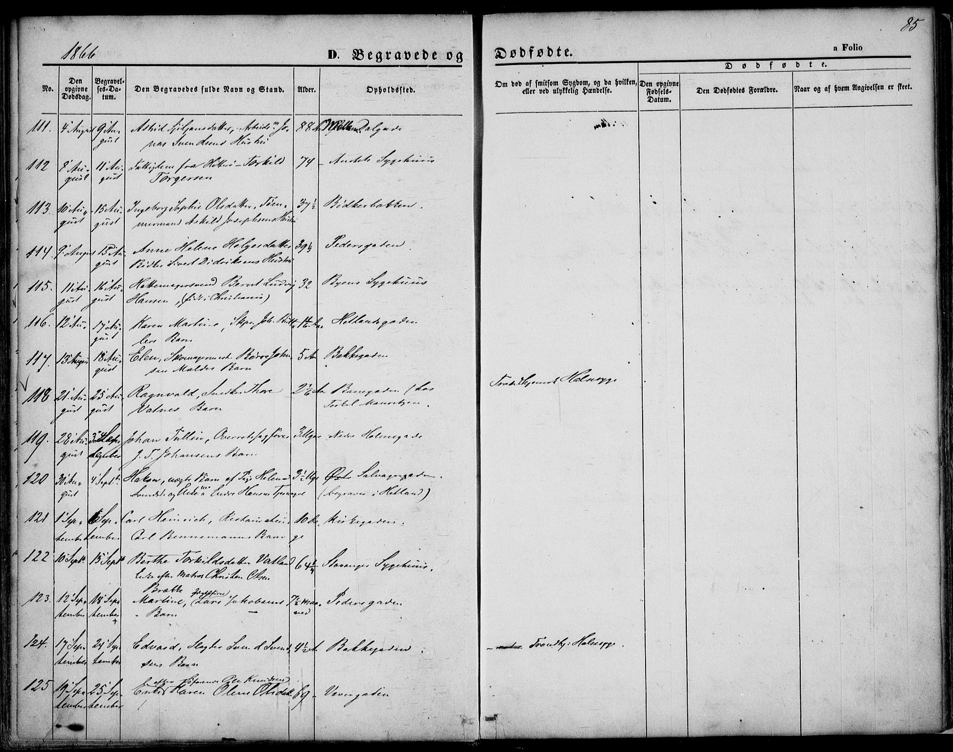 St. Petri sokneprestkontor, AV/SAST-A-101813/001/30/30BA/L0003: Parish register (official) no. A 3, 1861-1872, p. 85