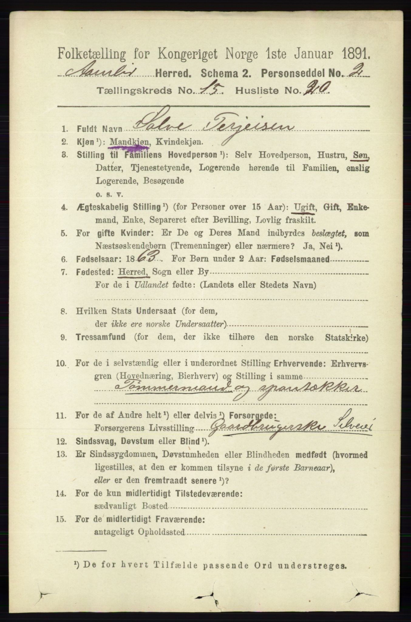 RA, 1891 census for 0929 Åmli, 1891, p. 2663