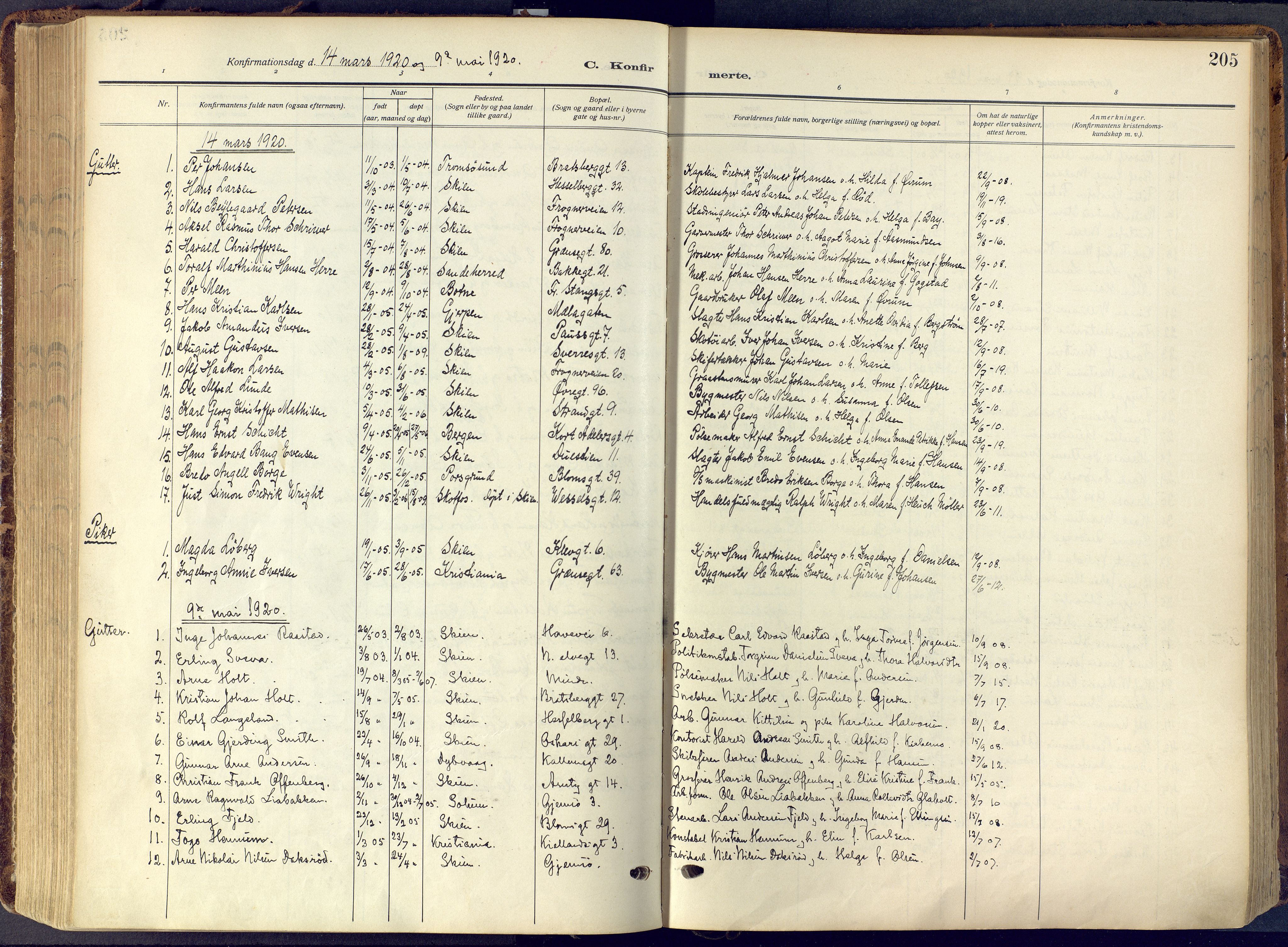 Skien kirkebøker, SAKO/A-302/F/Fa/L0013: Parish register (official) no. 13, 1915-1921, p. 205