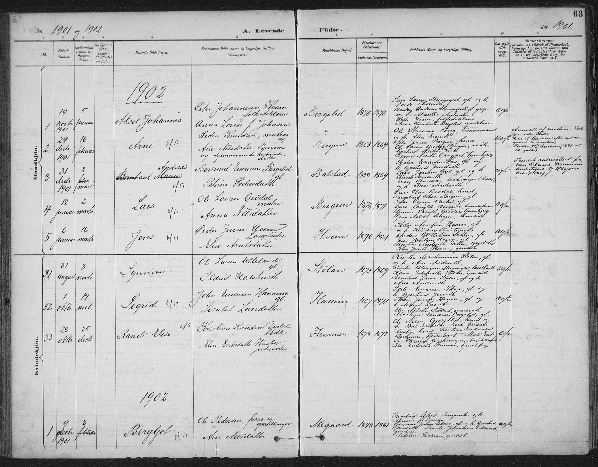 Ministerialprotokoller, klokkerbøker og fødselsregistre - Møre og Romsdal, AV/SAT-A-1454/586/L0988: Parish register (official) no. 586A14, 1893-1905, p. 63