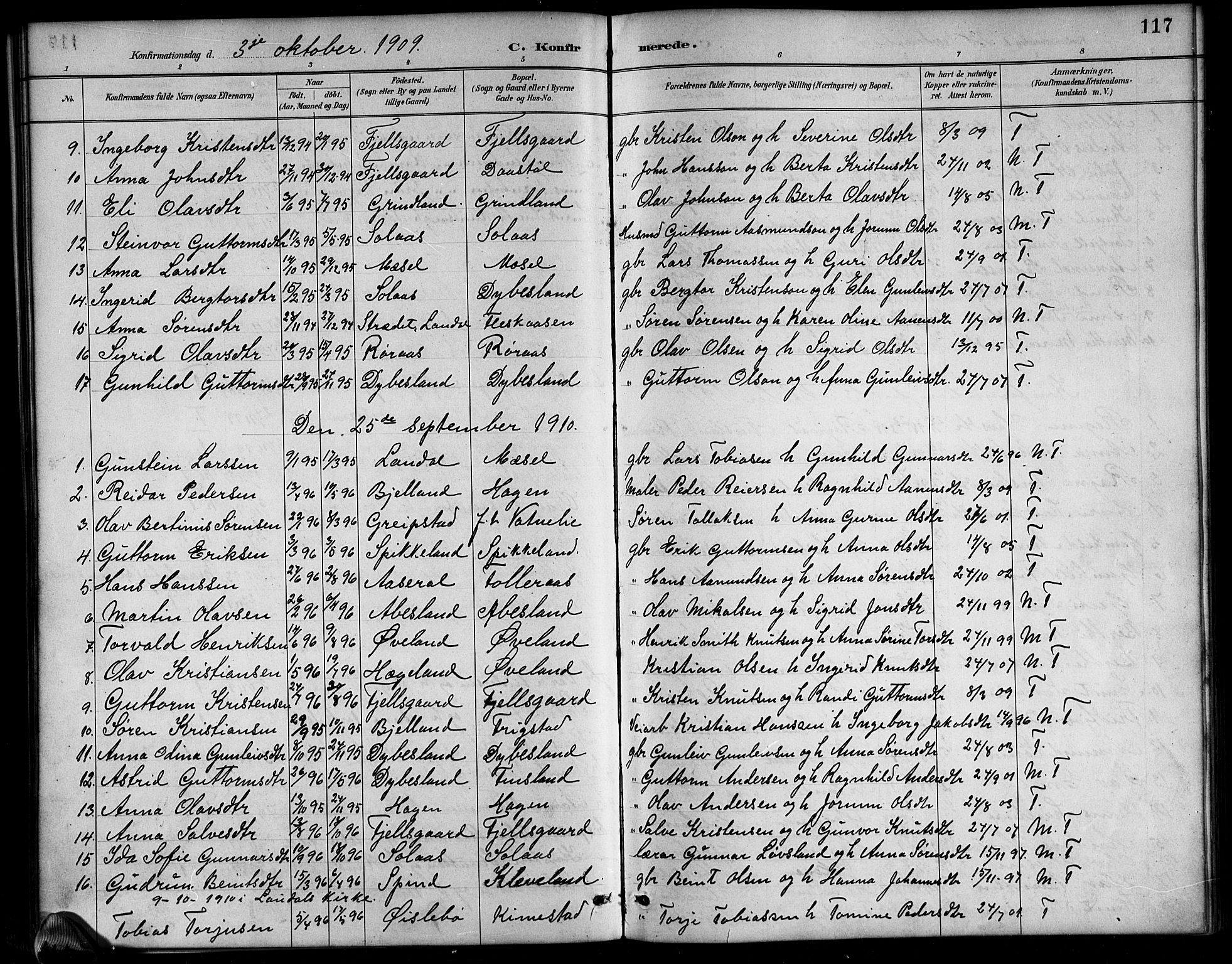 Bjelland sokneprestkontor, AV/SAK-1111-0005/F/Fb/Fbb/L0005: Parish register (copy) no. B 5, 1887-1918, p. 117